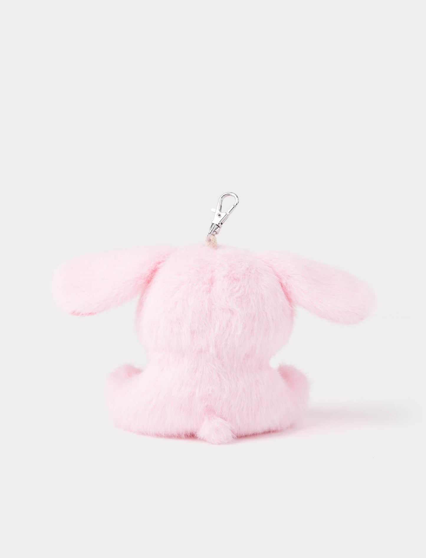 Bagtag, Animals, Bunny