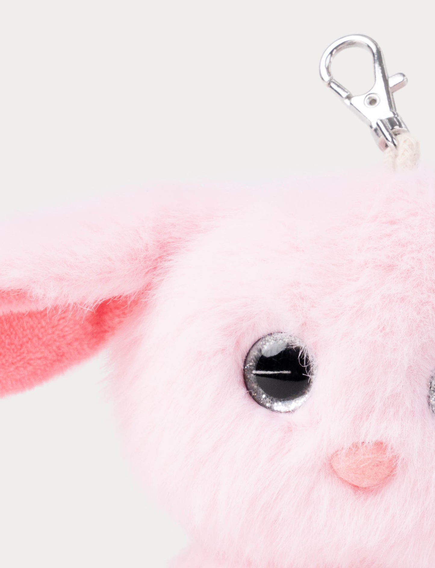 Bagtag, Animals, Bunny
