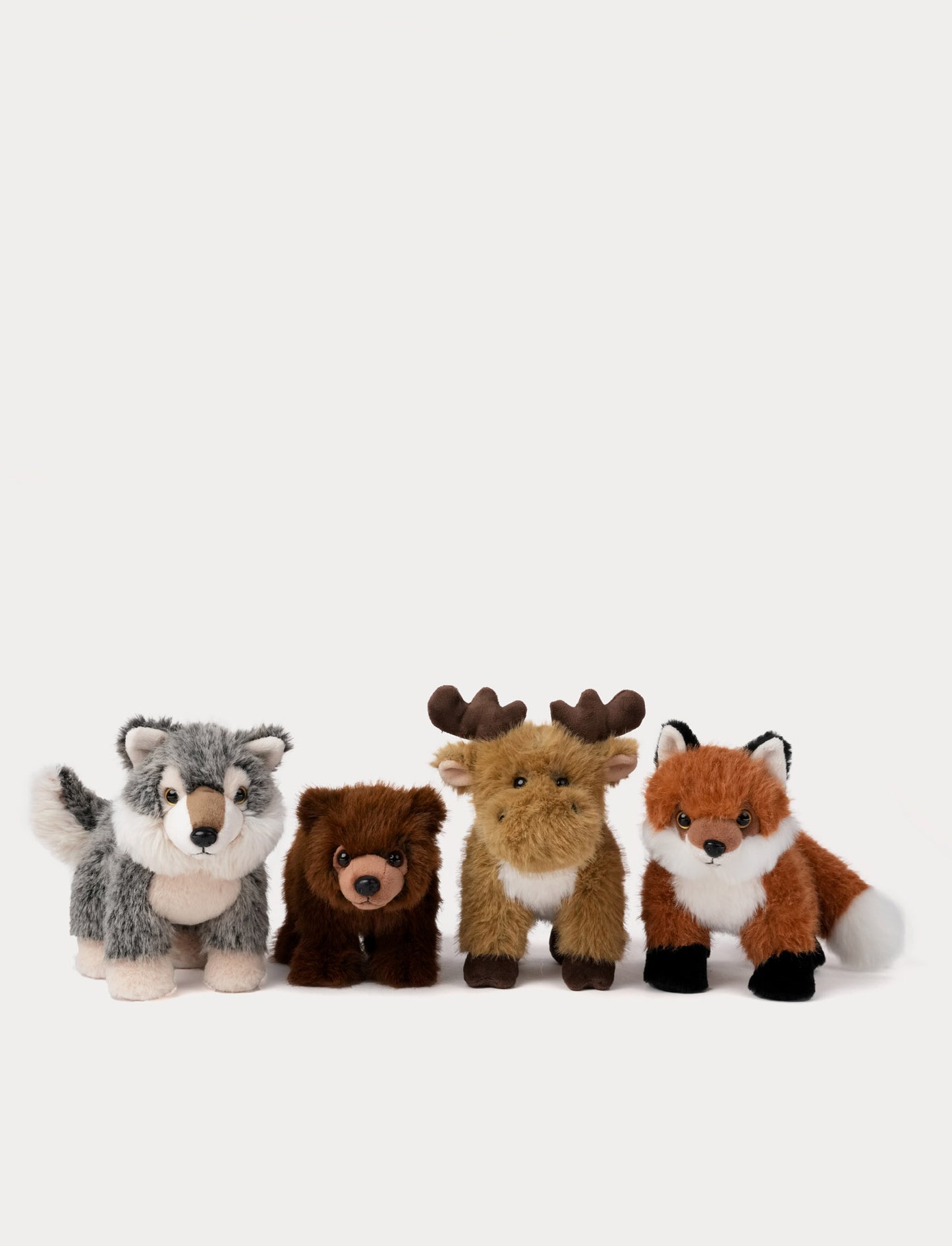 Teddy Forest, Hirvi