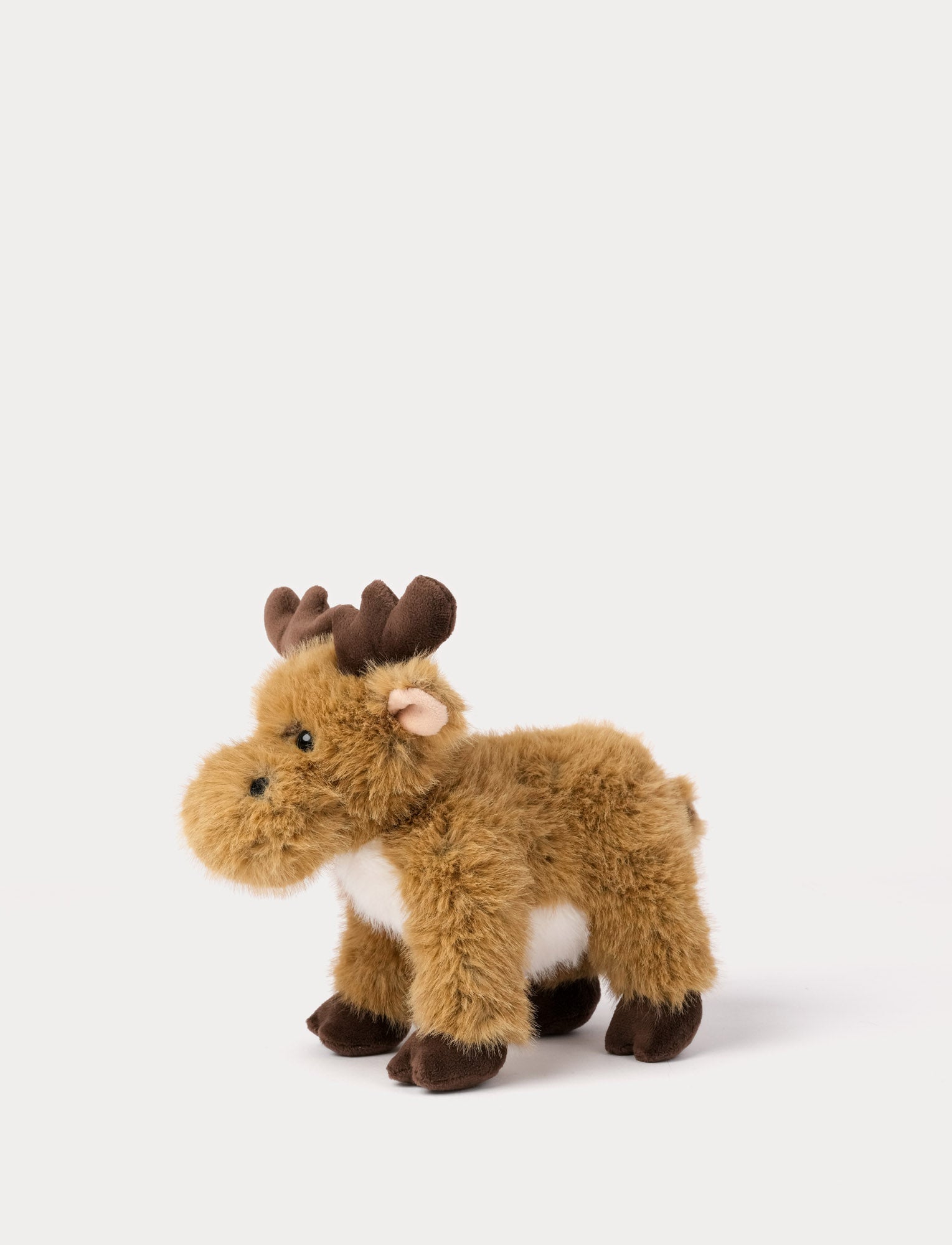  Image of Teddy Forest, Hirvi
