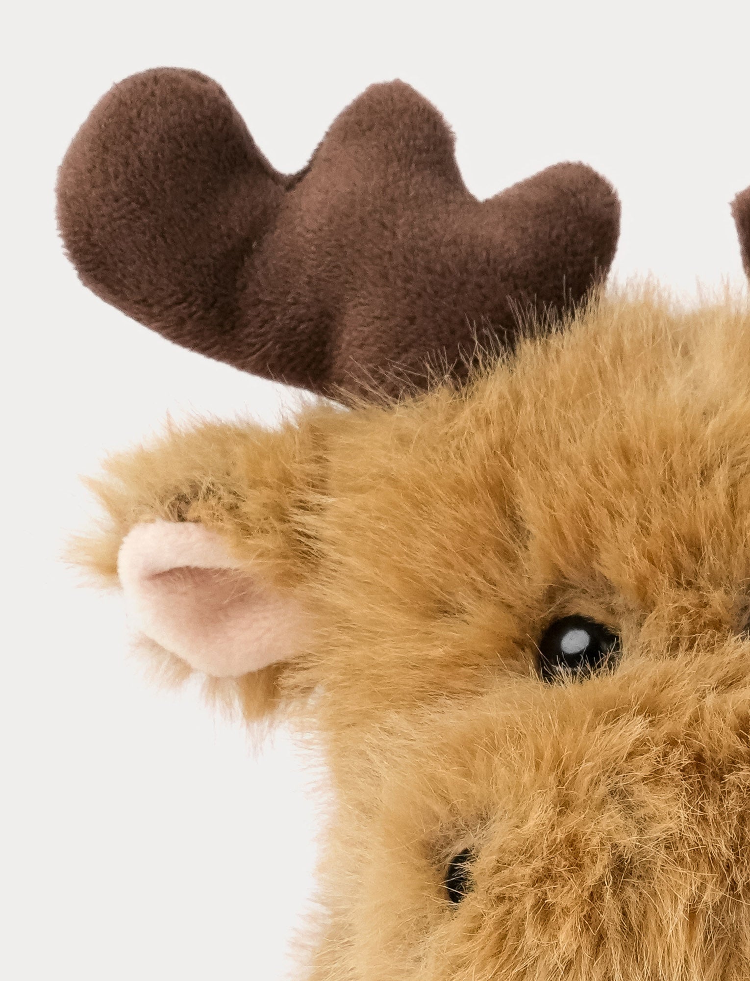  Image of Teddy Forest, Hirvi