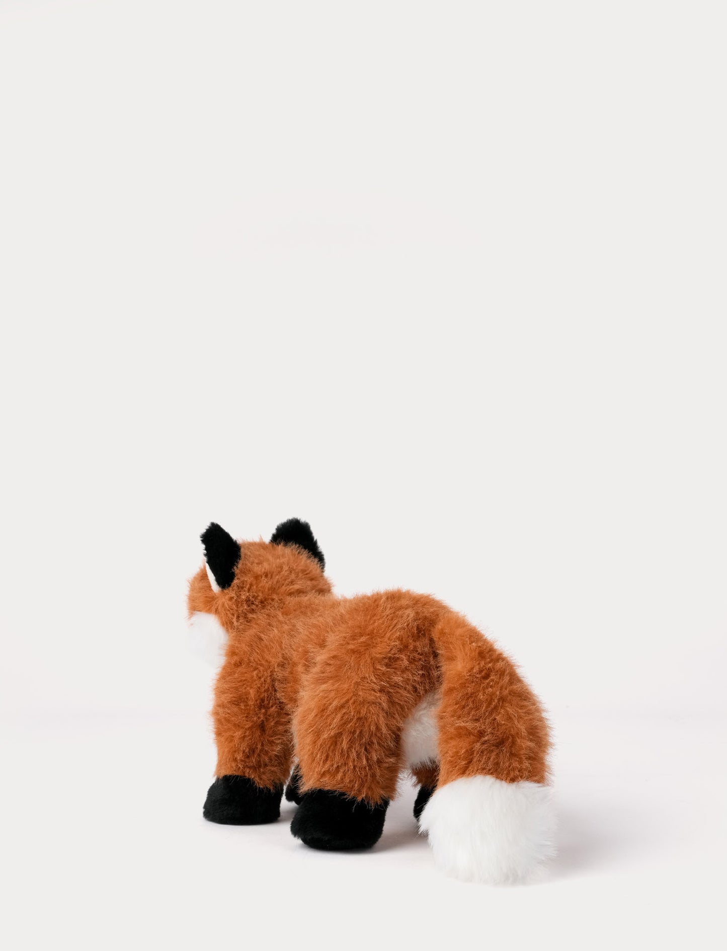 Teddy Forest, Kettu