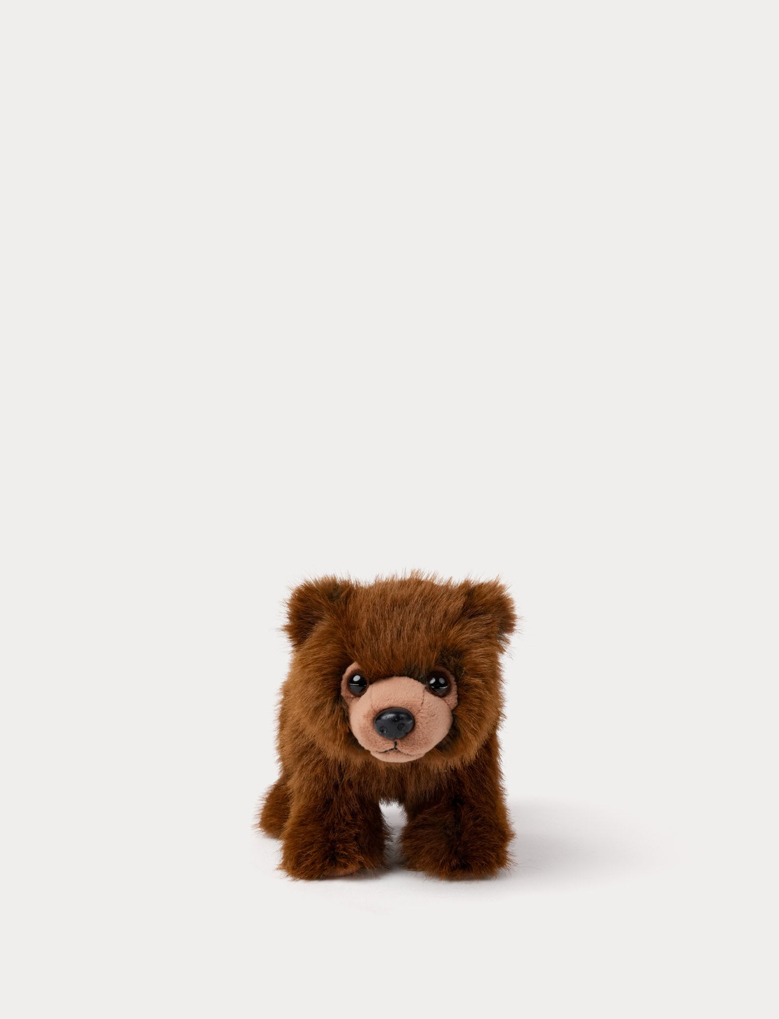  Image of Brown teddy bear plush