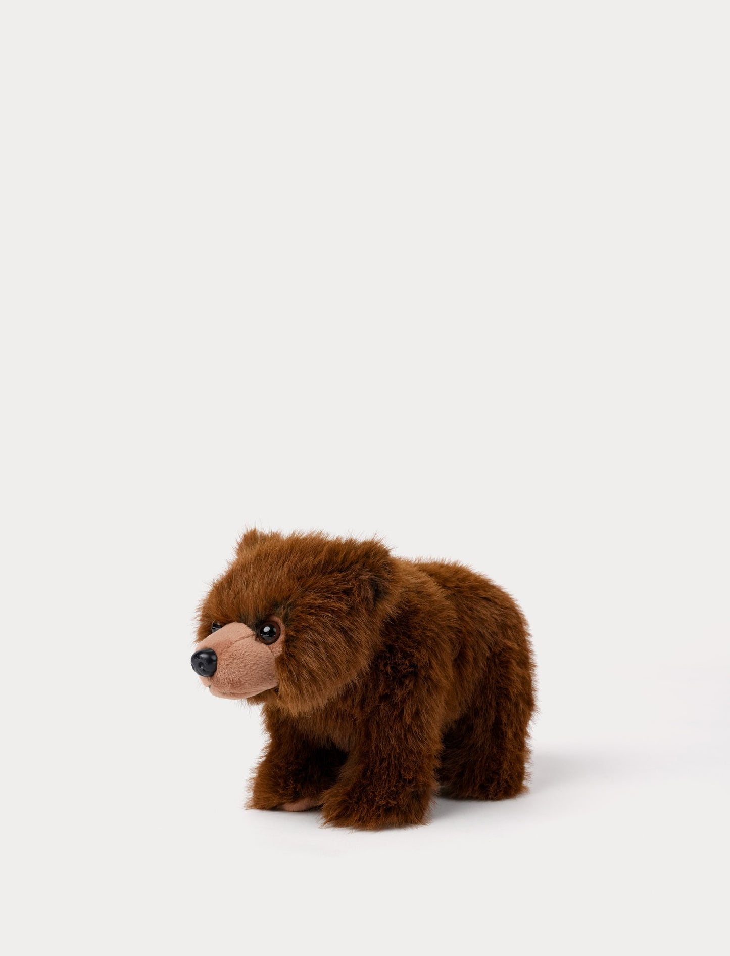 Teddy Forest, Karhu