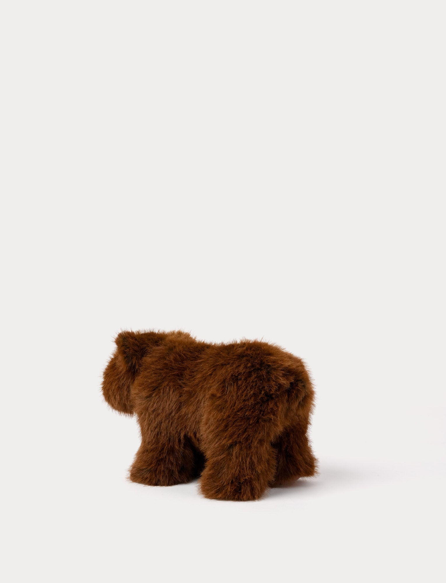  Image of Teddy Forest, Karhu