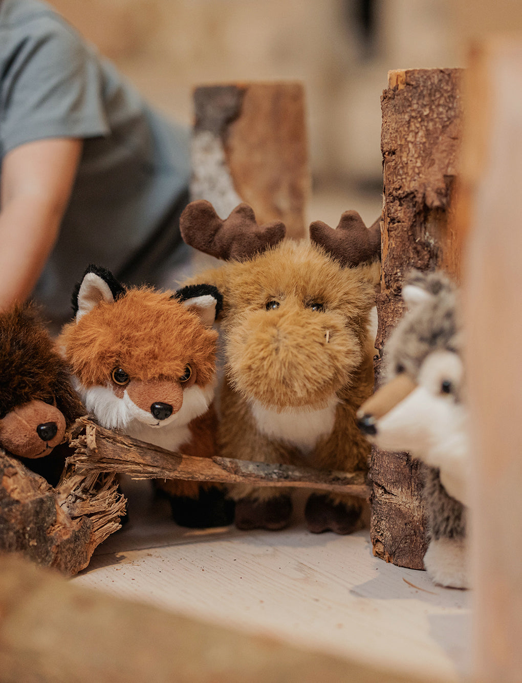  Image of Teddy Forest, Hirvi