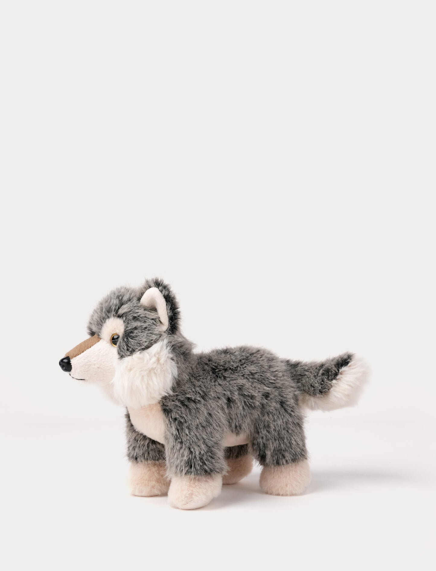 Teddy Forest, Susi