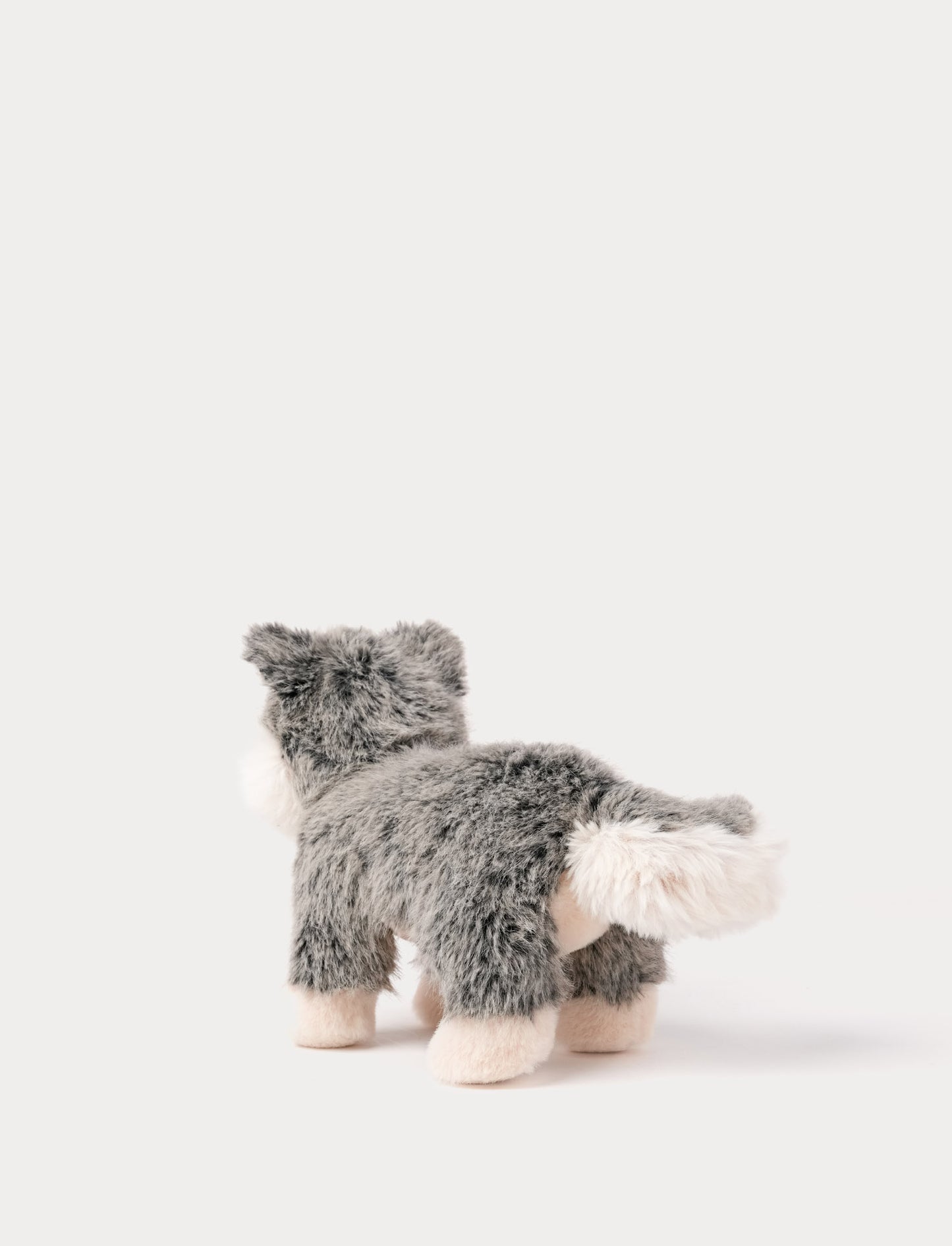 Teddy Forest, Susi