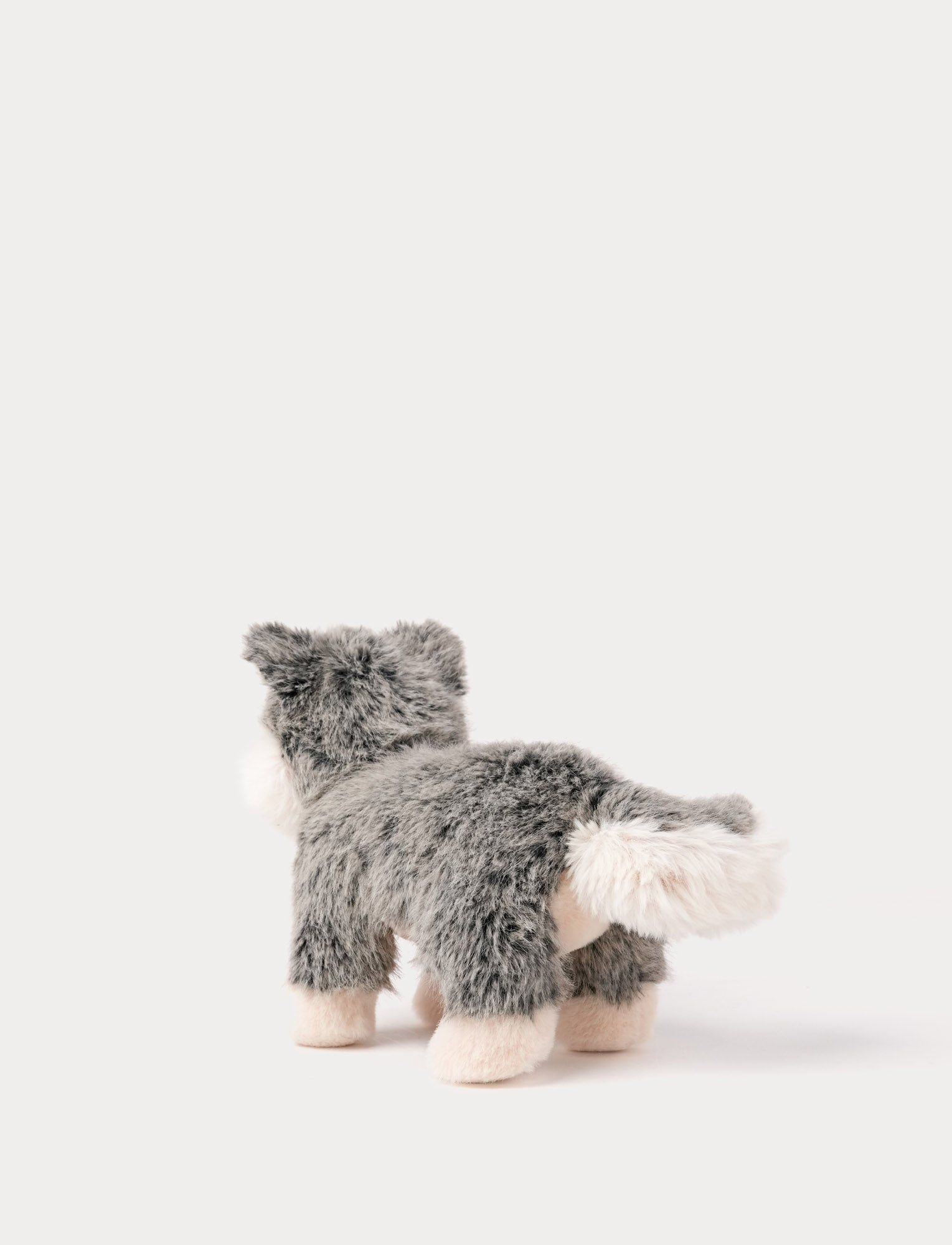  Image of Teddy Forest, Susi