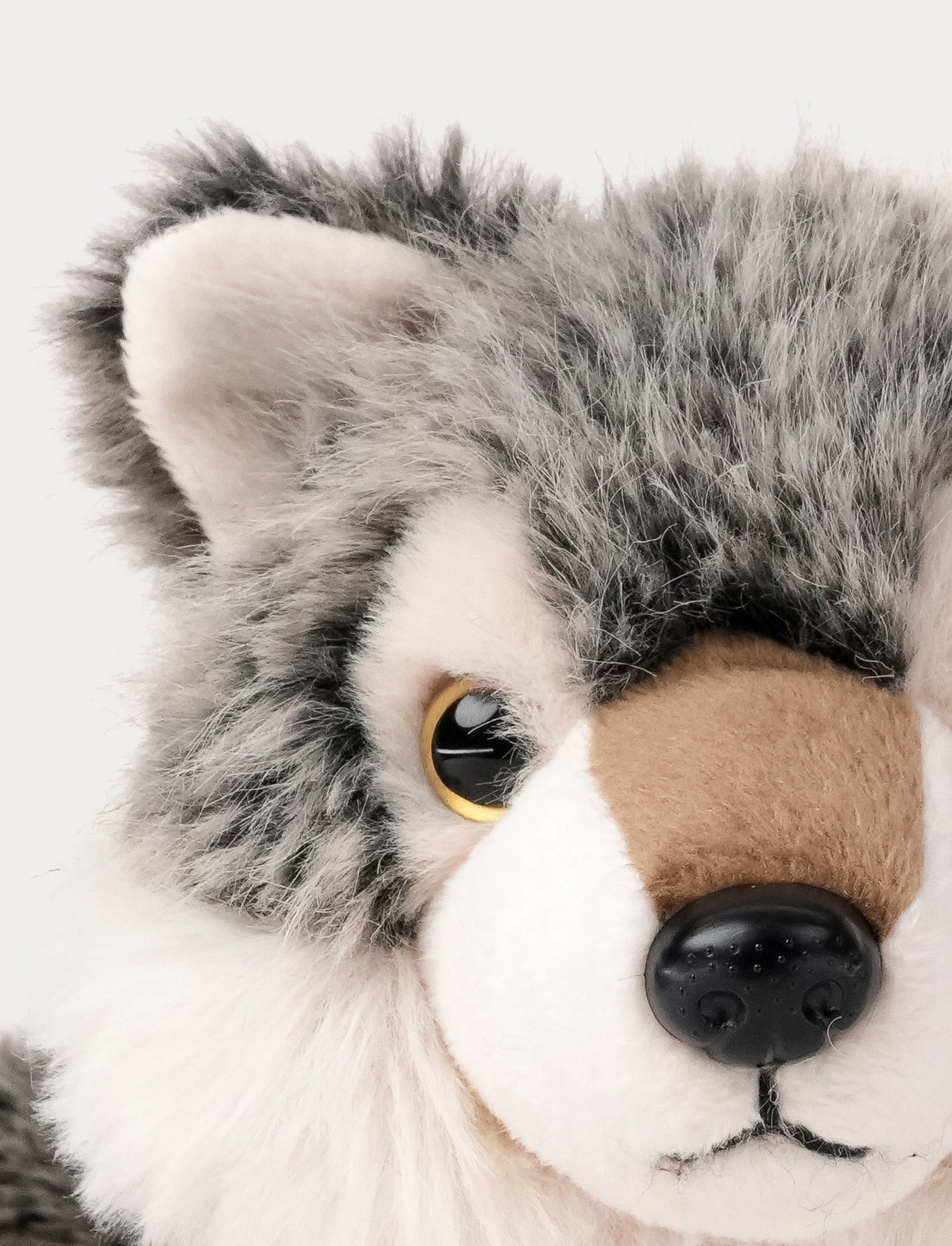 Teddy Forest, Susi
