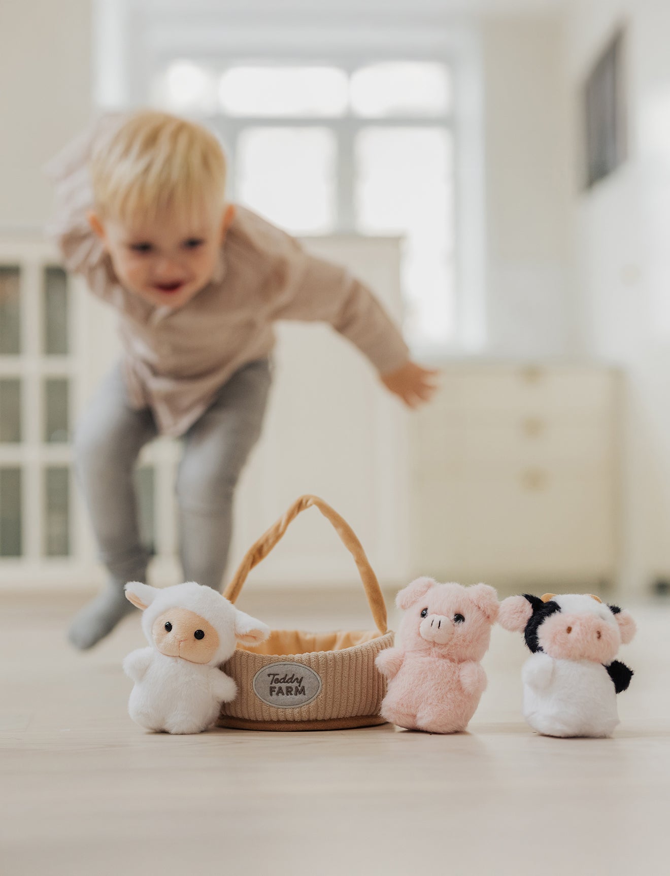  Image of Teddy Farm, Gift basket