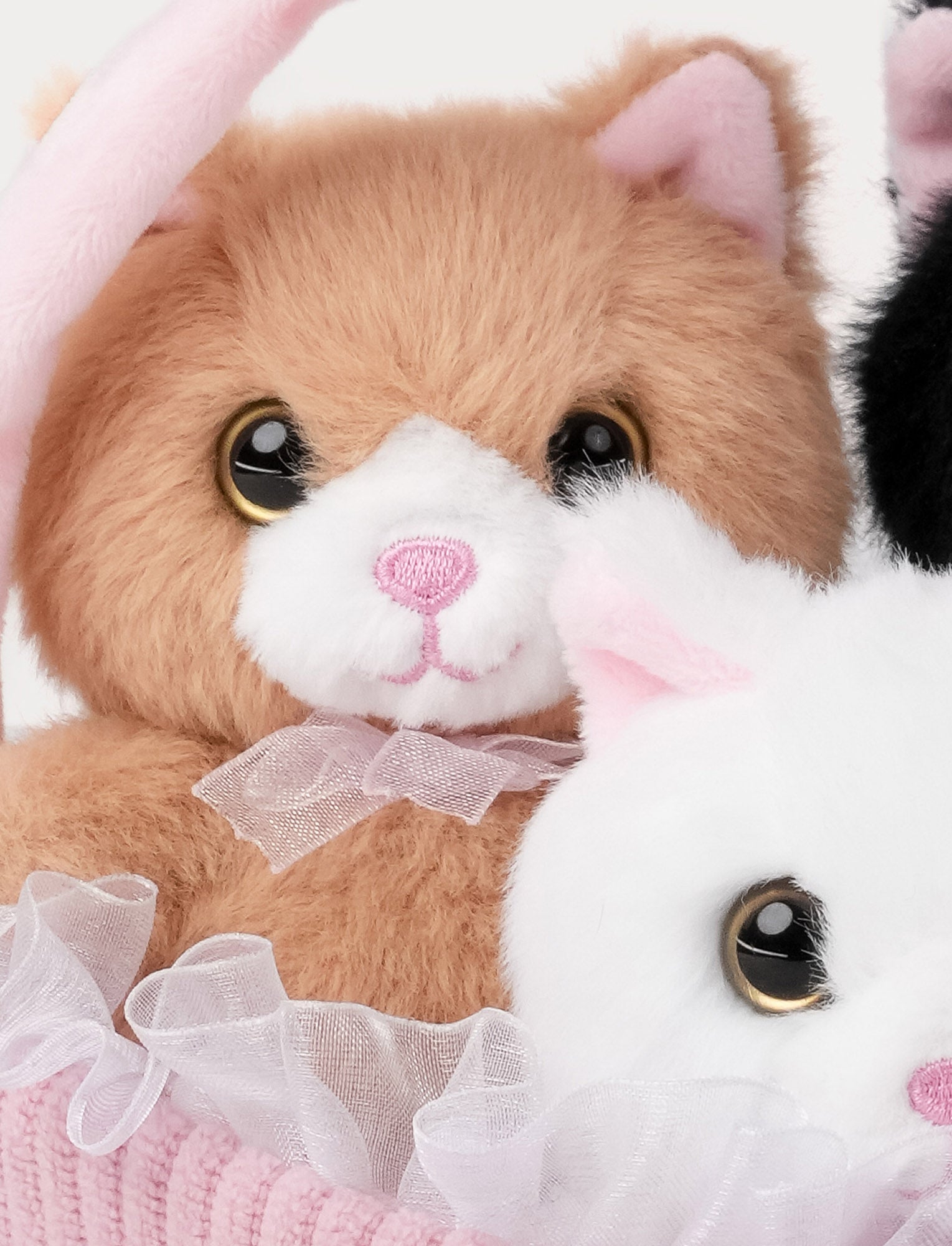  Image of Teddy Cats, Gift basket