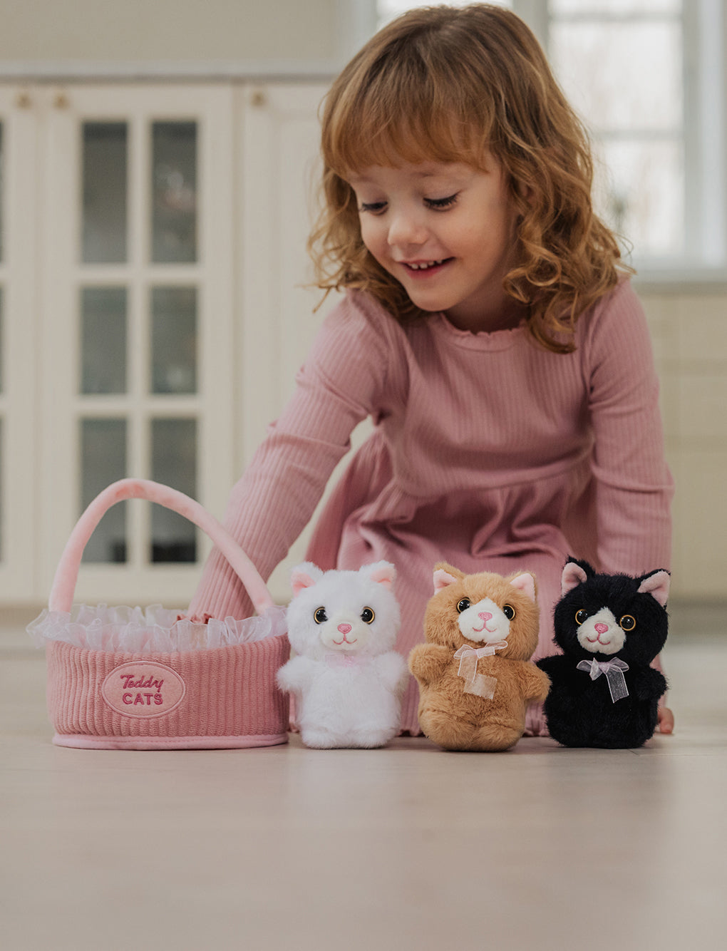 Teddy Cats, Gift basket