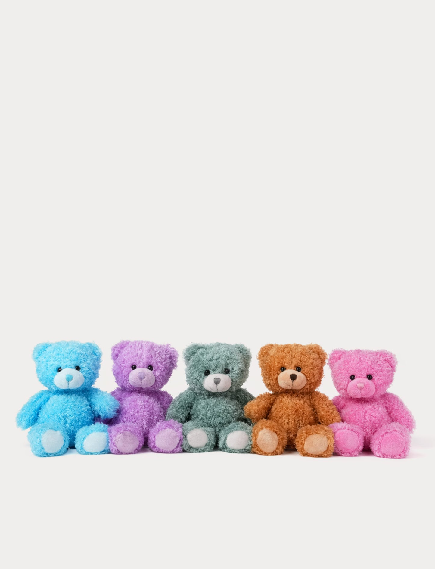 Color Cubs, Teddy