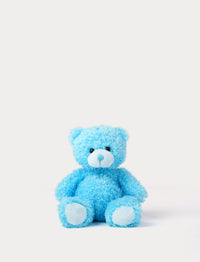 Blue teddy bear on a white background