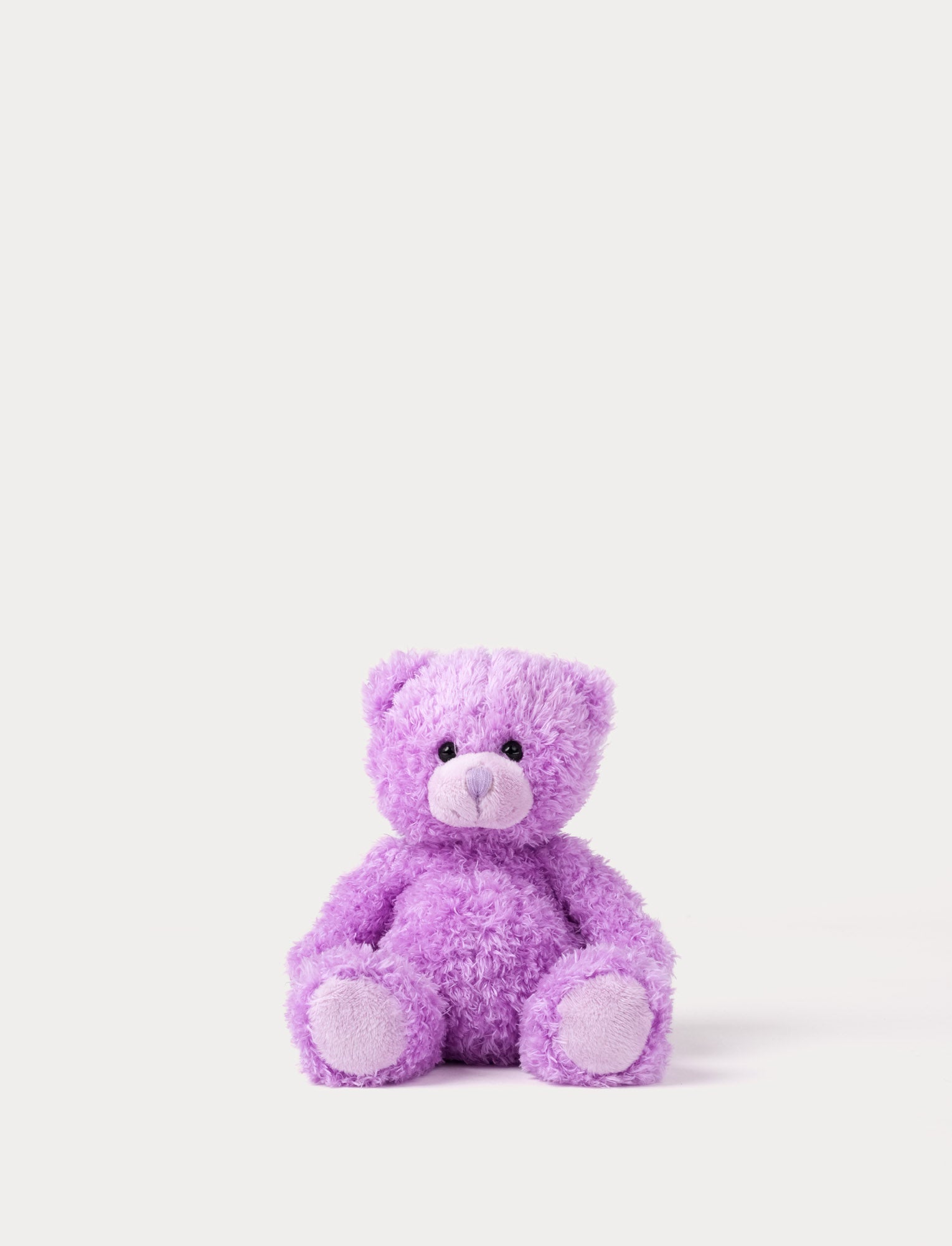  Image of Purple teddy bear on a white background