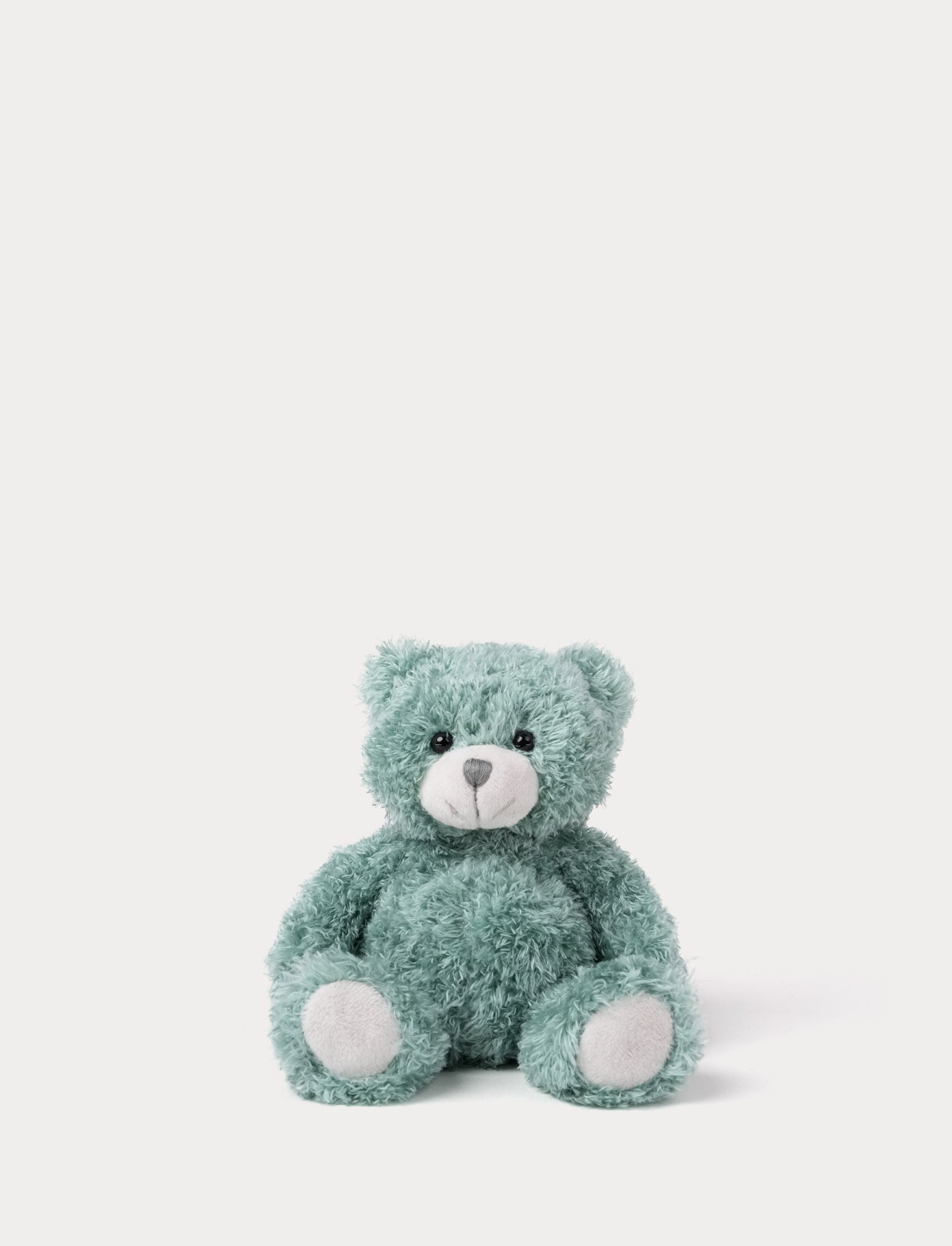  Image of Green teddy bear on a white background