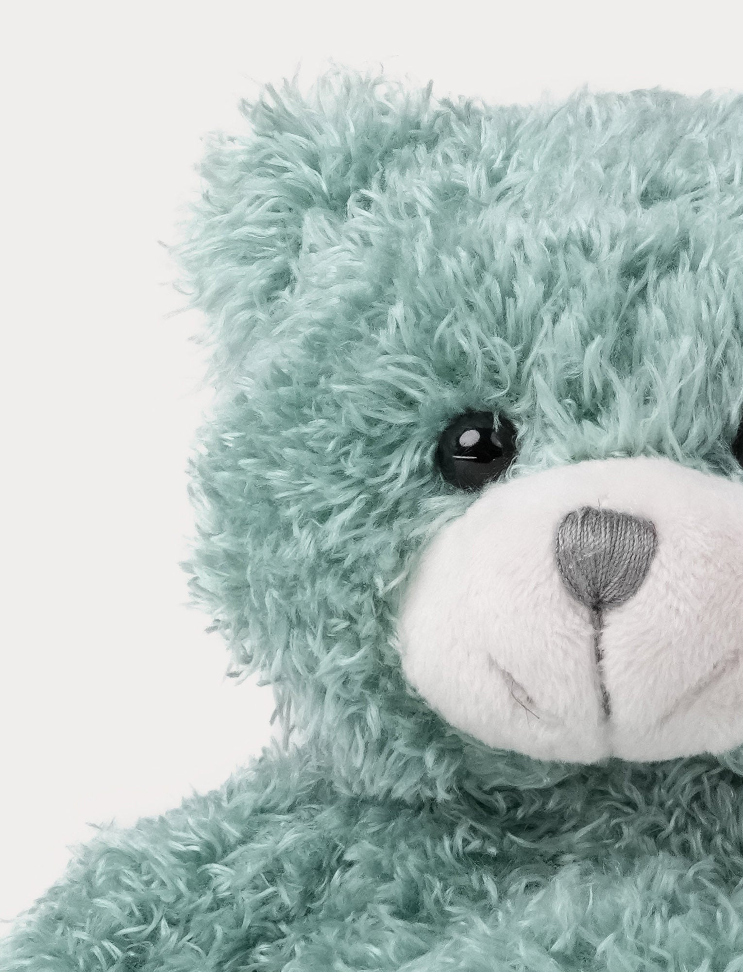  Image of Color Cubs, Teddy