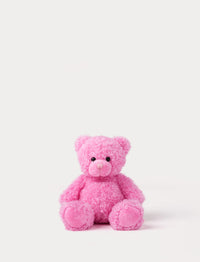 Pink teddy bear on a white background