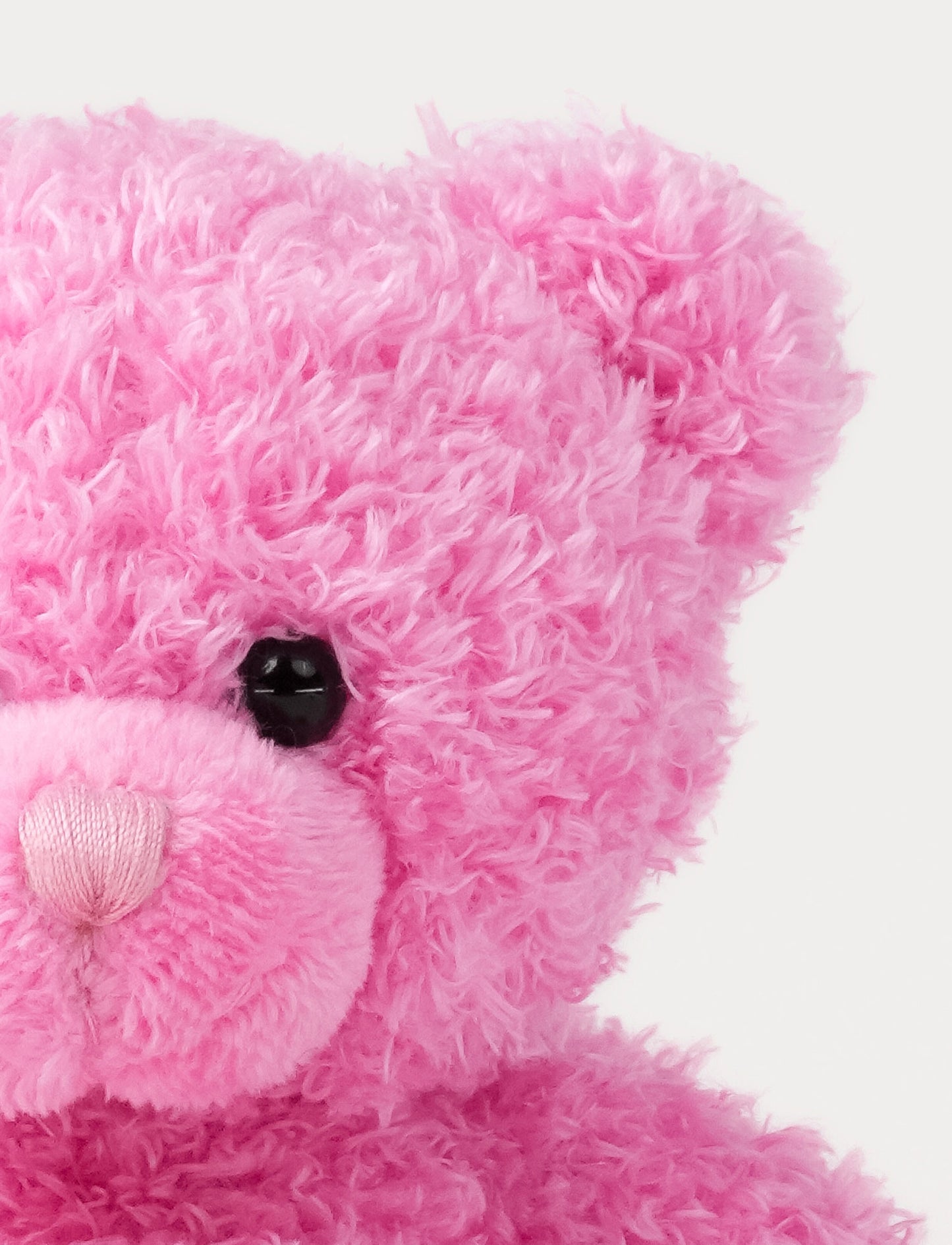 Color Cubs, Teddy