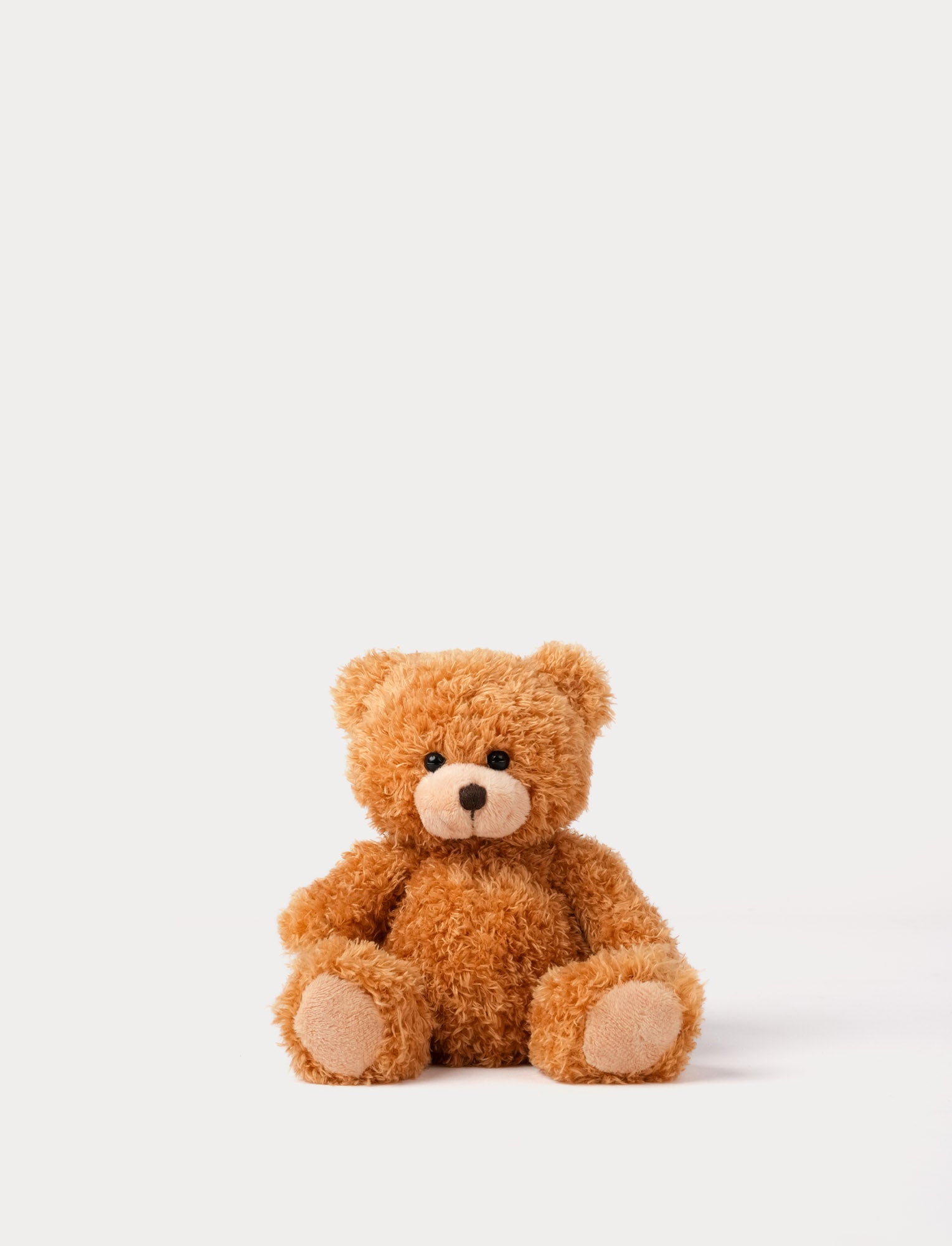  Image of Brown teddy bear on a white background