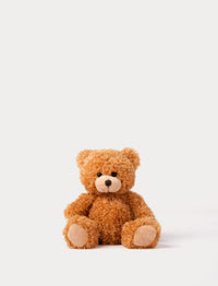 Brown teddy bear on a white background