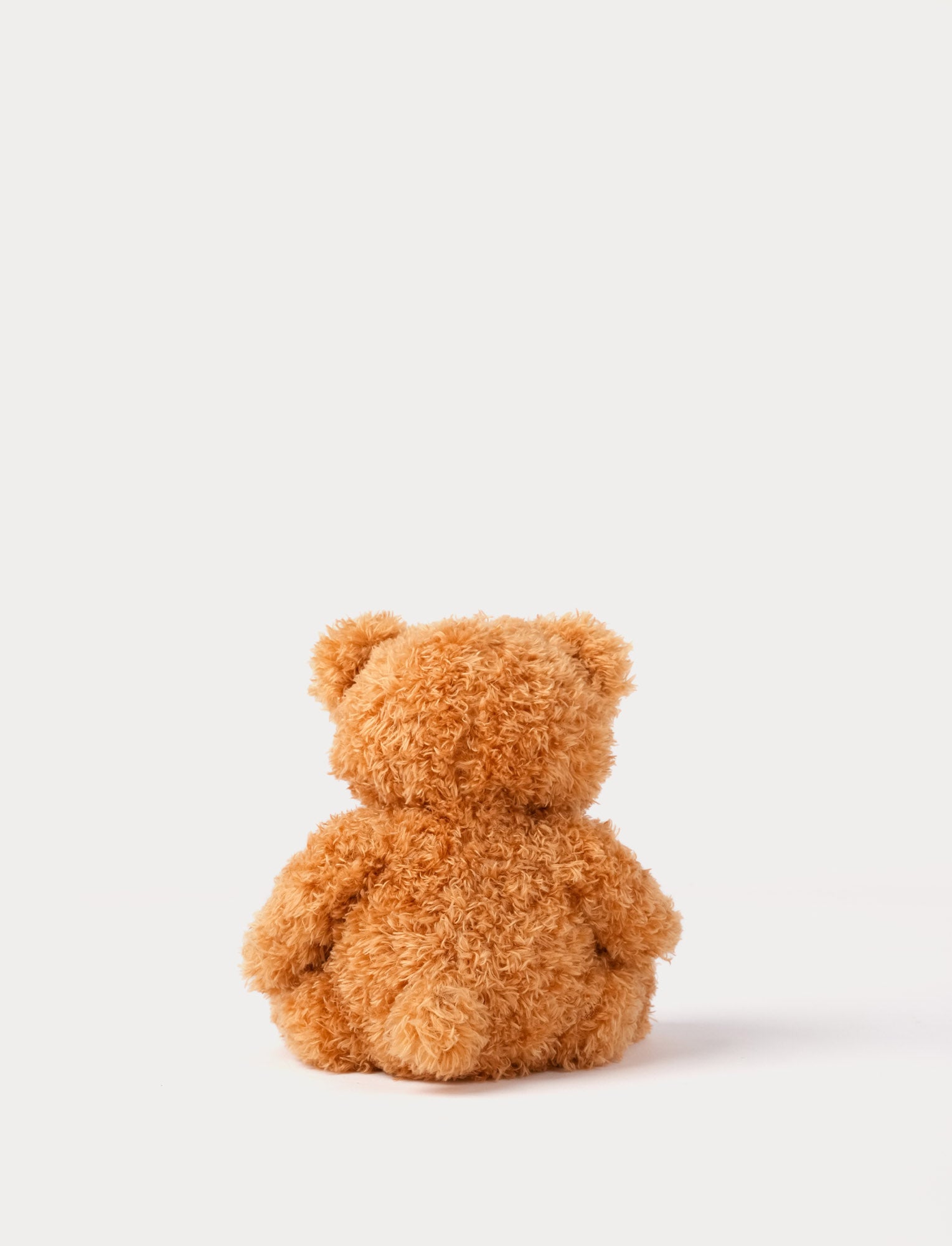 Image of Color Cubs, Teddy