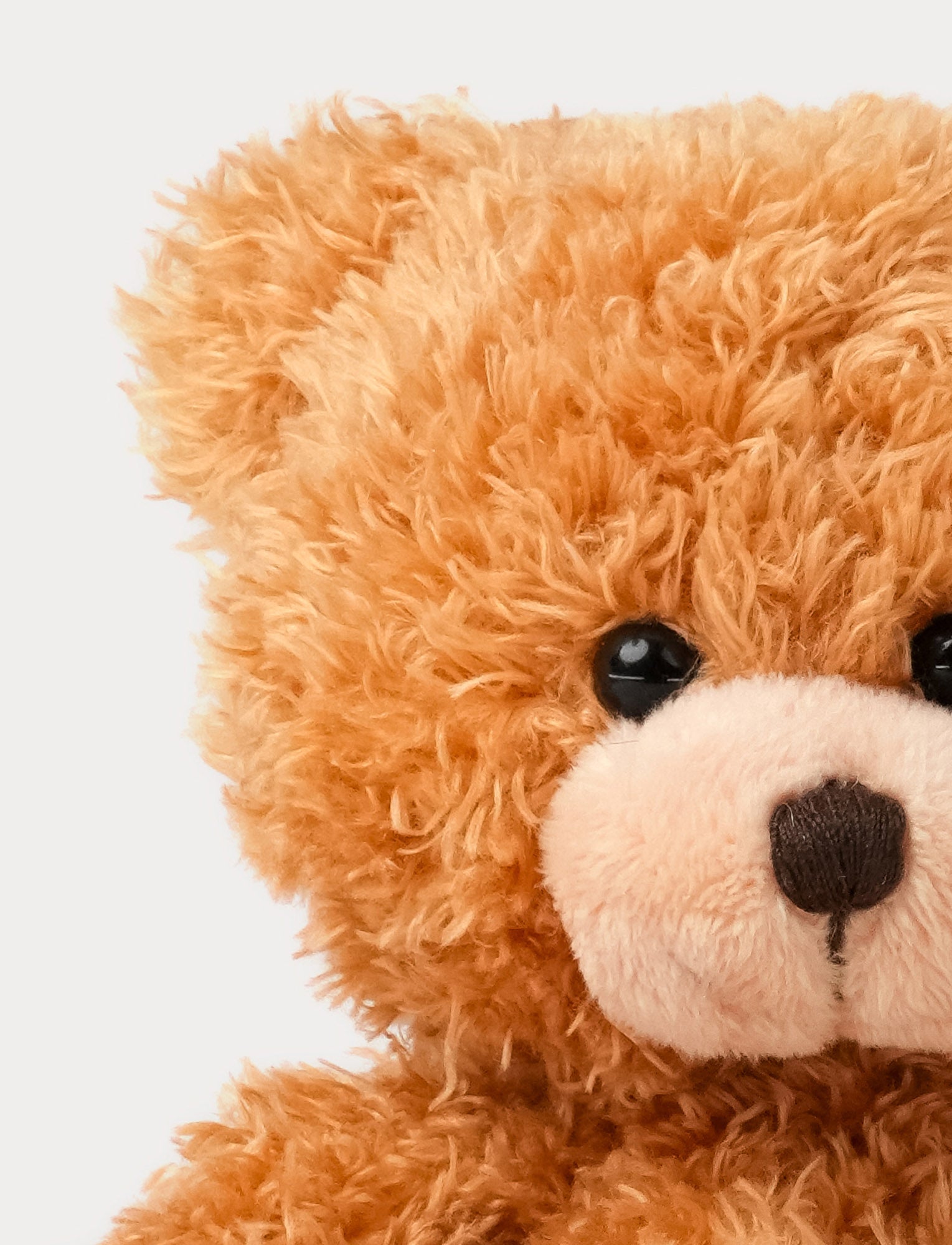  Image of Color Cubs, Teddy