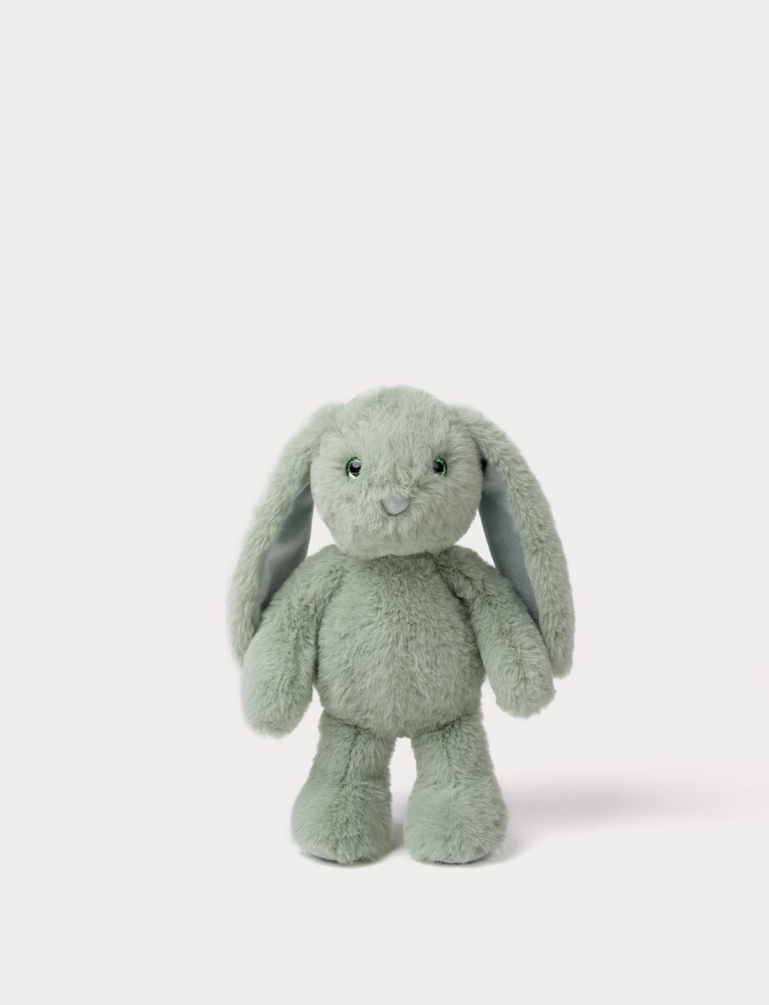  Image of Green plush bunny toy on a white background