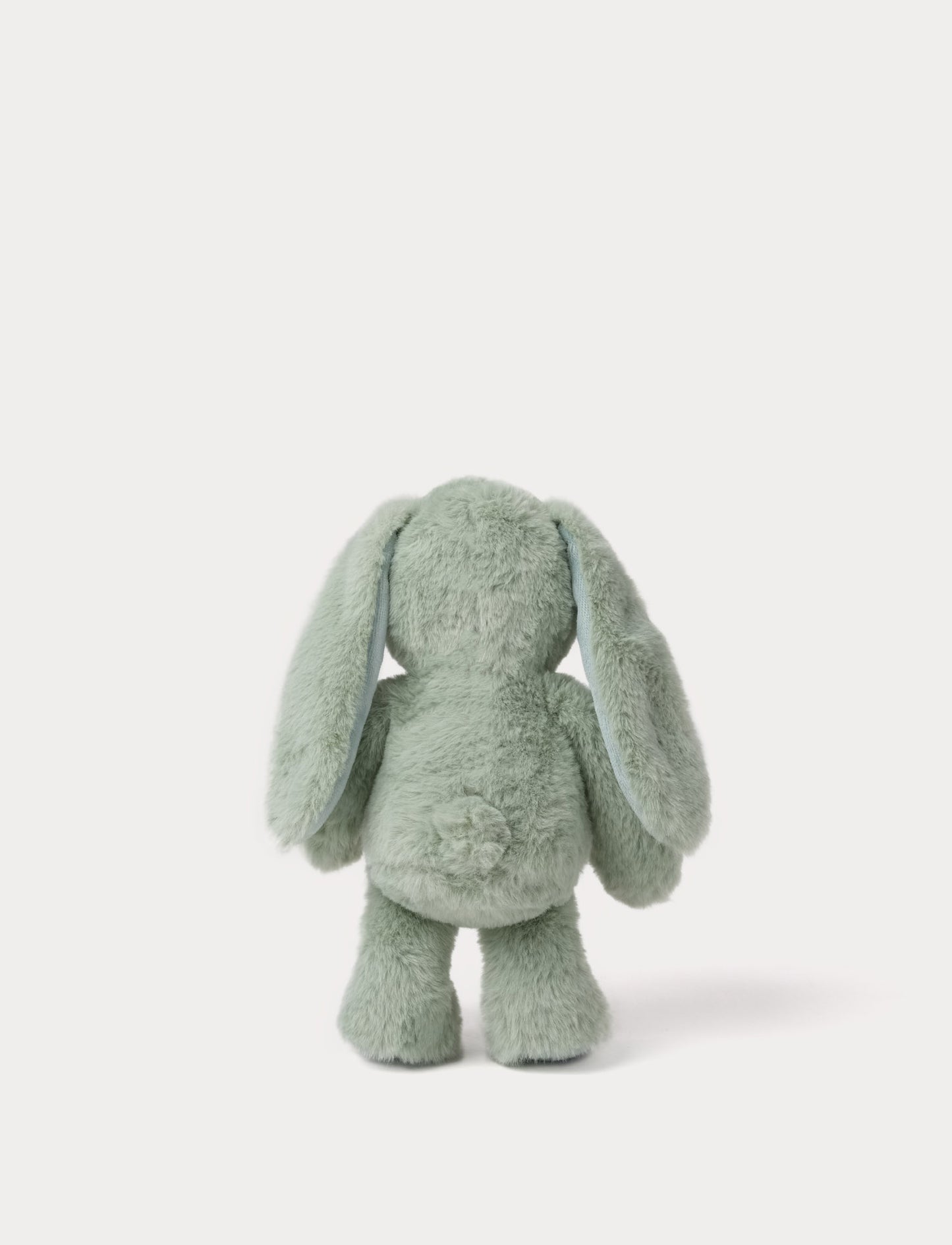 Blooming Bunny, Ivy