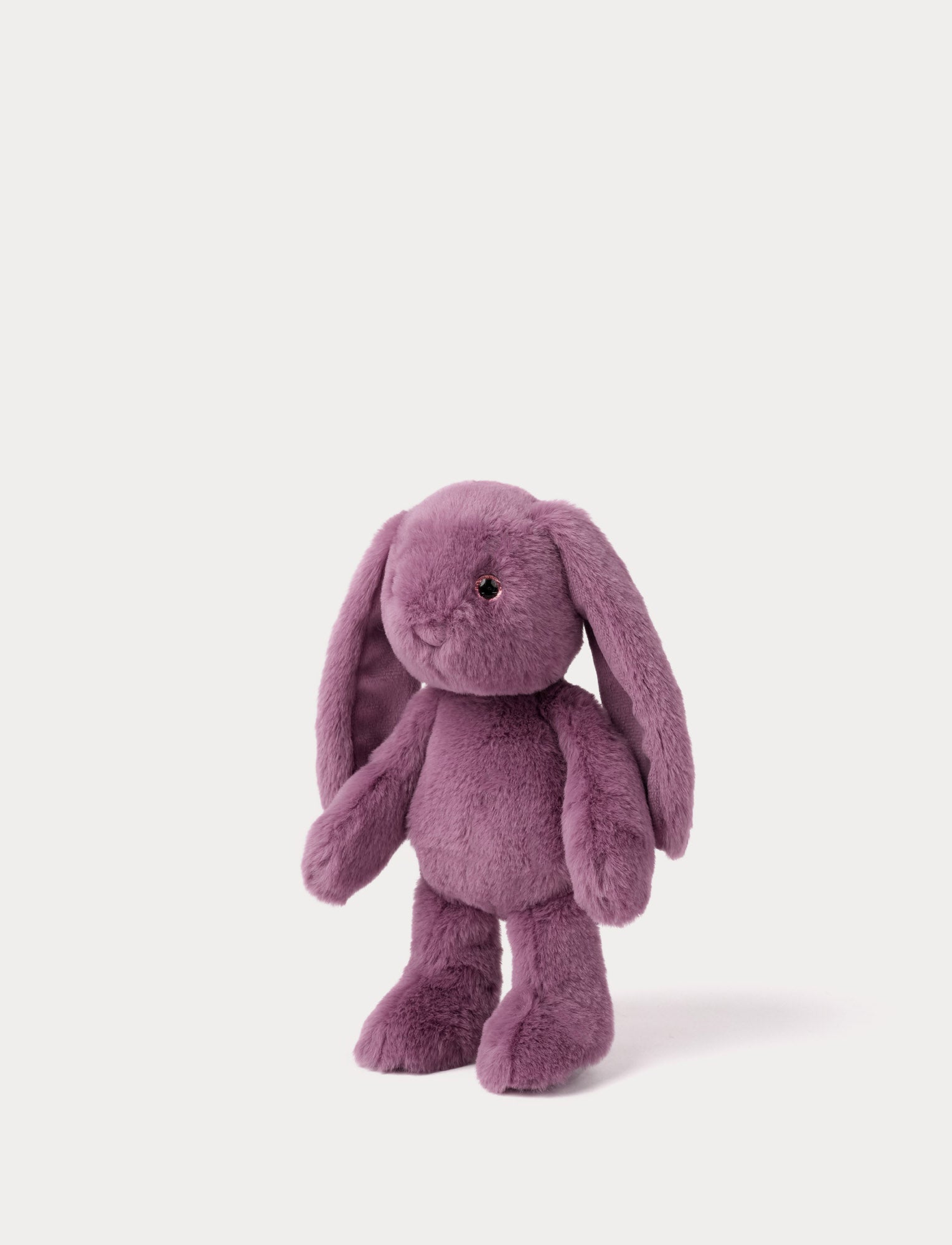  Image of Blooming Bunny, Dahlia