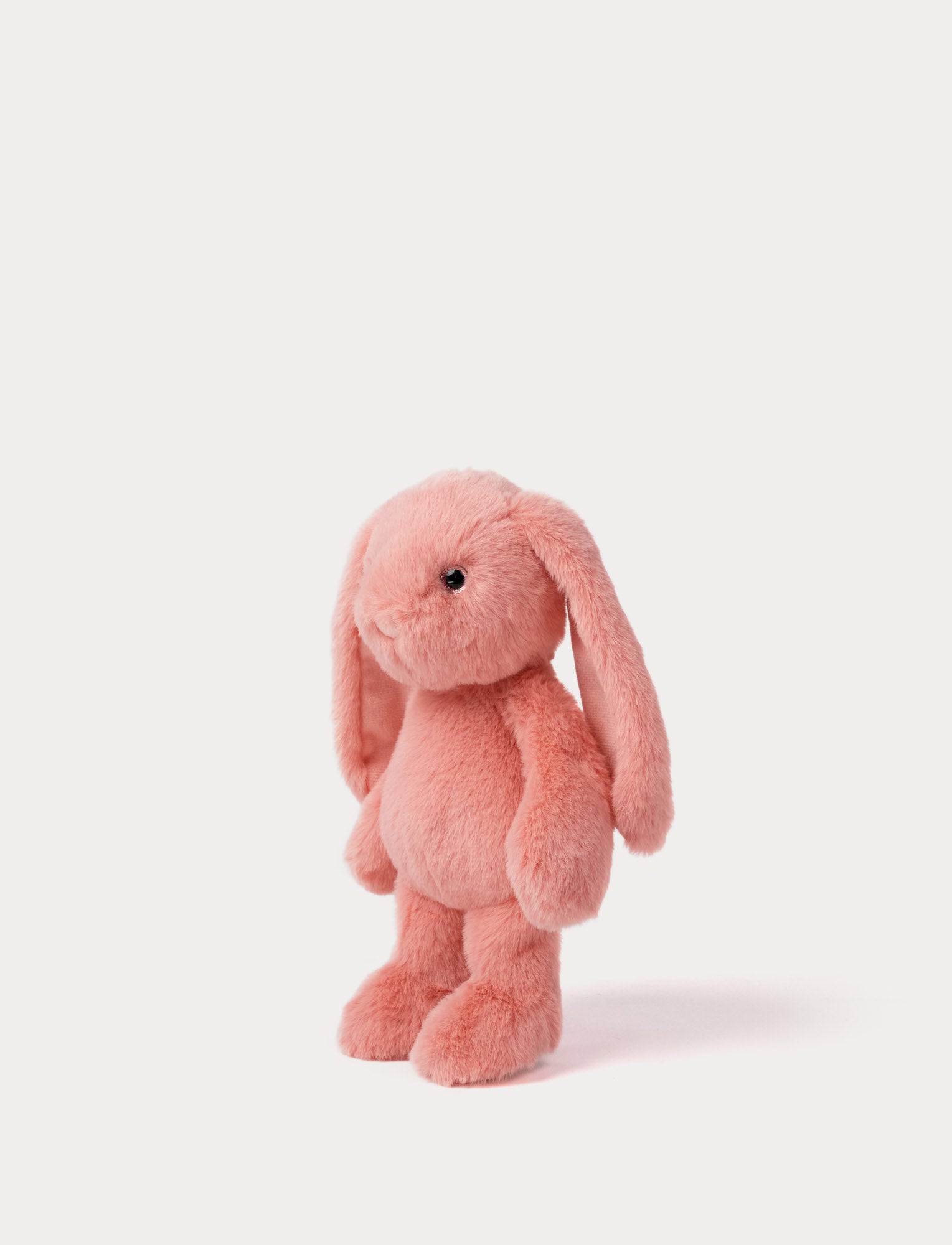  Image of Blooming Bunny, Lily