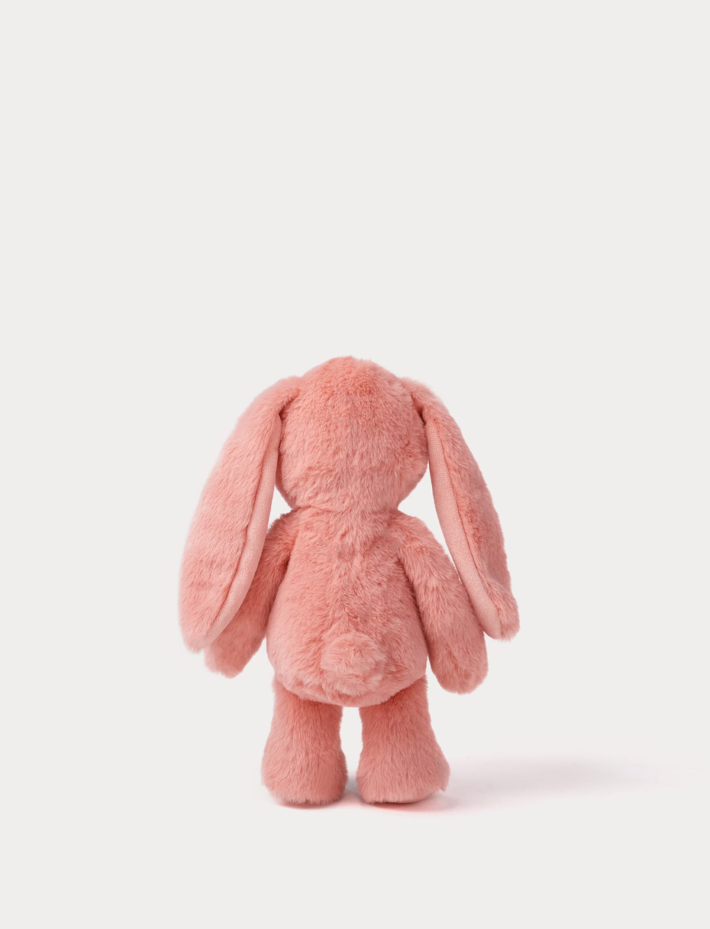 Blooming Bunny, Lily