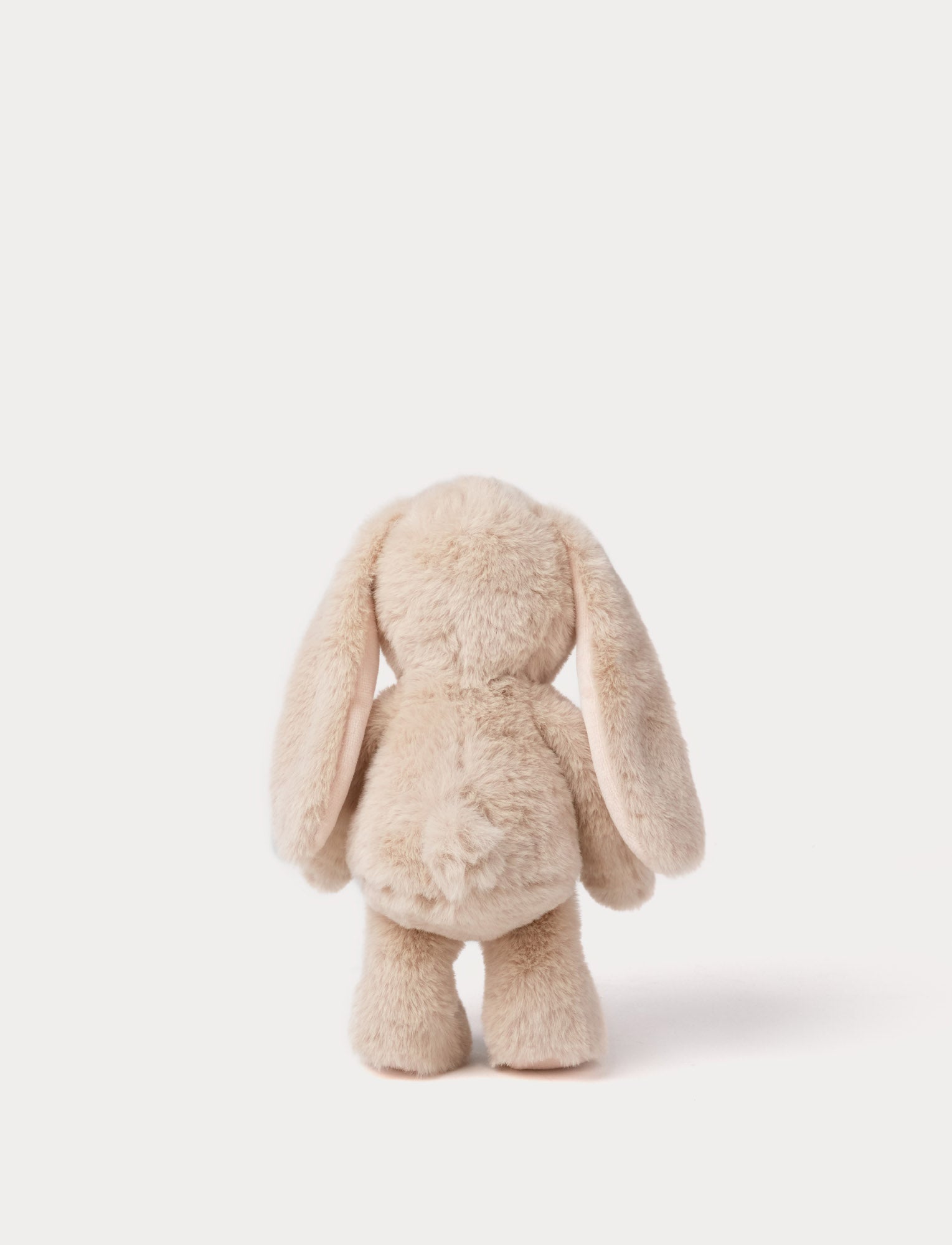  Image of Blooming Bunny, Hortensia