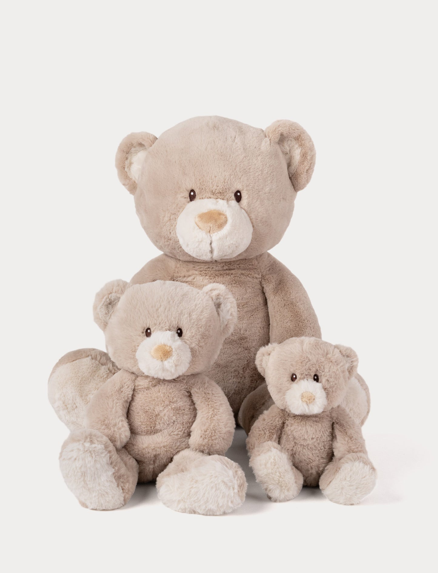 Teddy Mocca, Teddy, XL