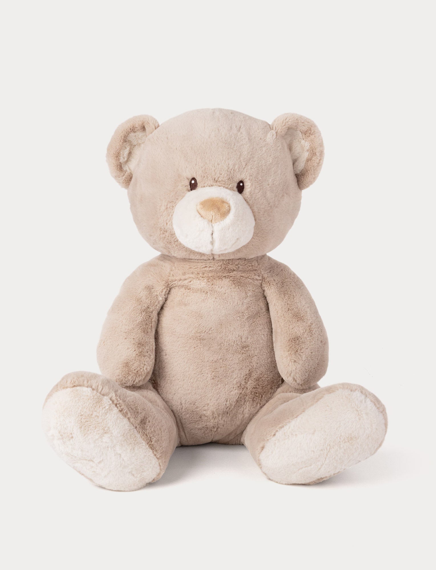  Image of Large Beige teddy bear on a white background