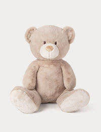 Large Beige teddy bear on a white background