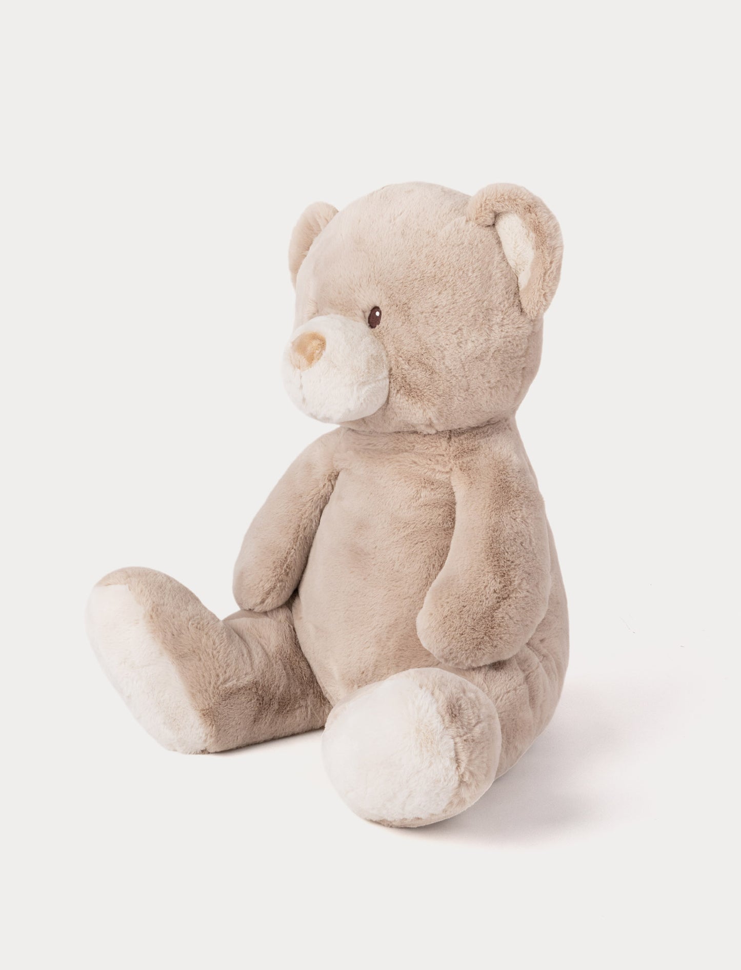 Teddy Mocca, Teddy, XL