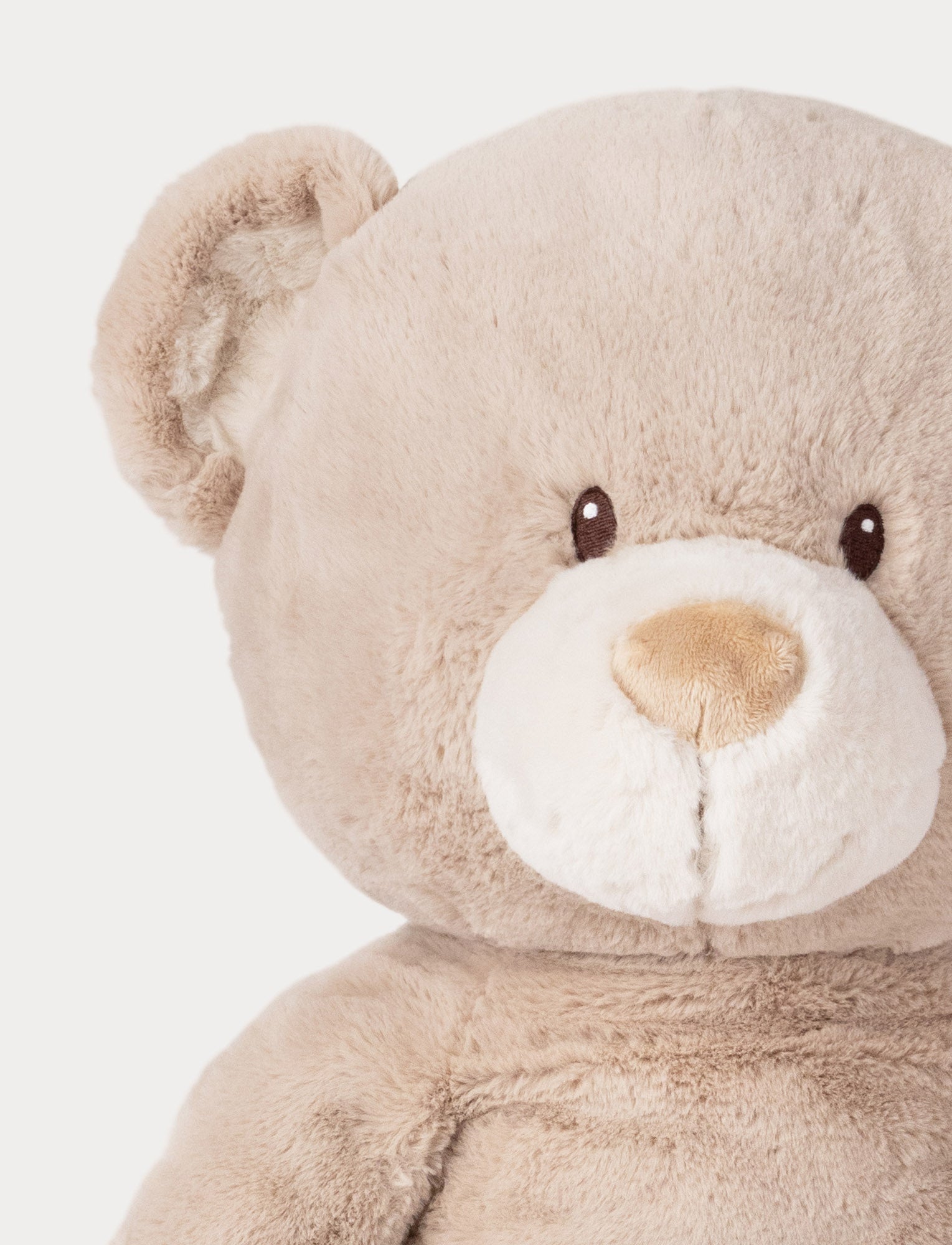  Image of Teddy Mocca, Teddy, XL