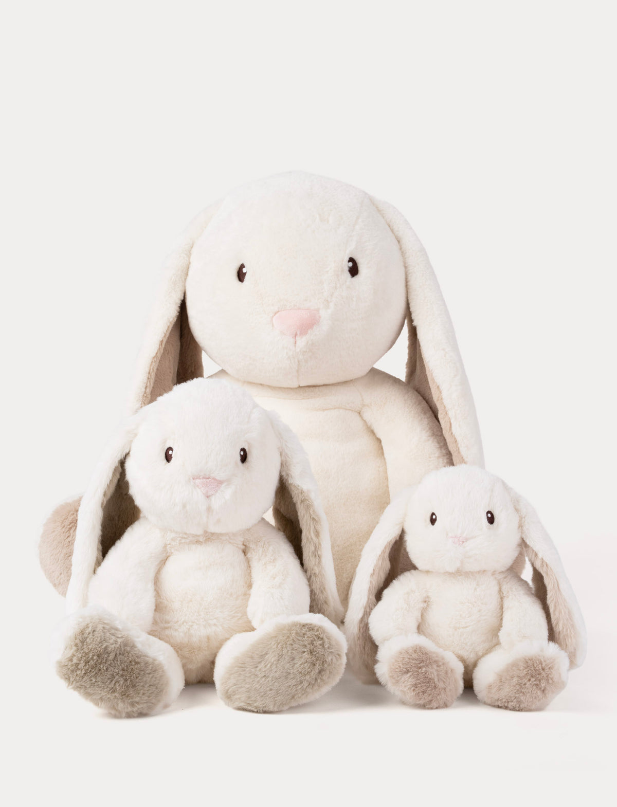 Teddy Mocca, Kanin, XL