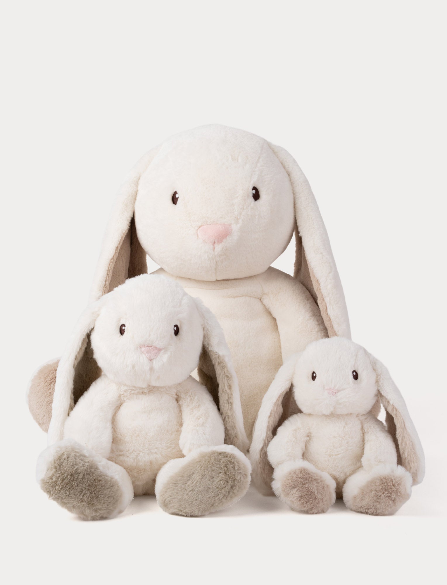  Image of Teddy, Mocca, Bunny, XL