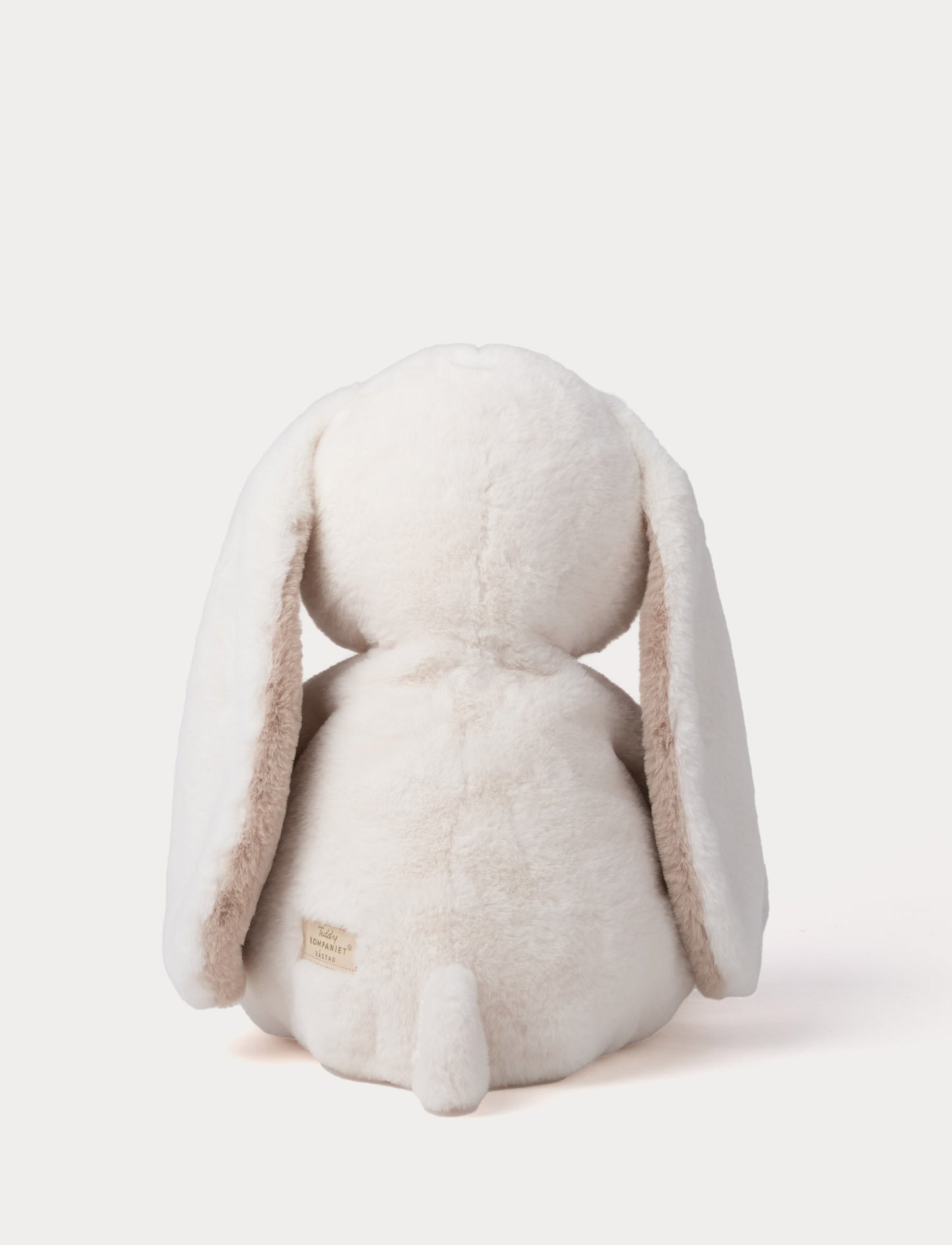 Teddy Mocca, Kanin, XL