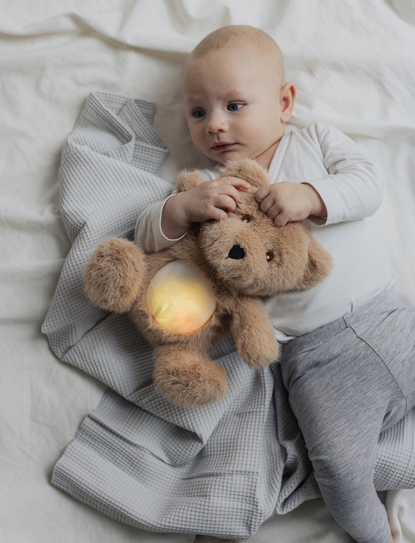  Image of Nightlight with sounds, Teddy