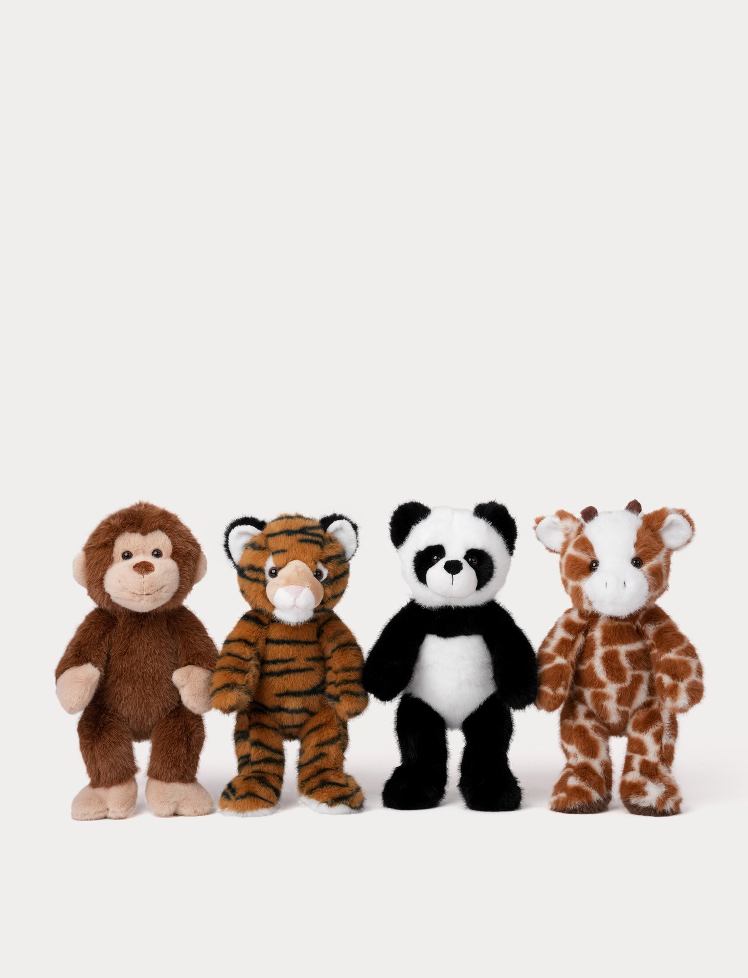  Image of Teddy Wild, Giraffe