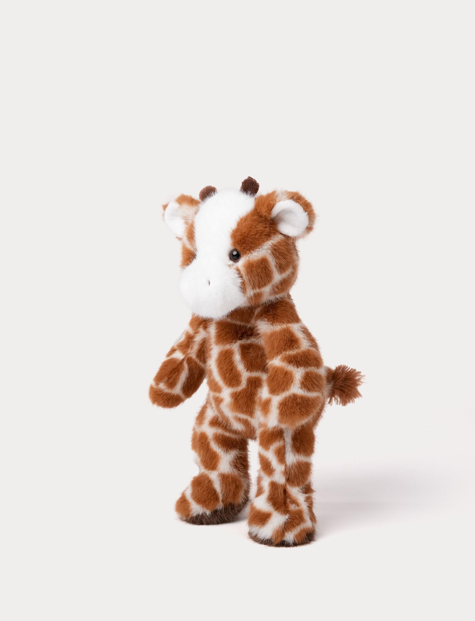  Image of Teddy Wild, Giraffe