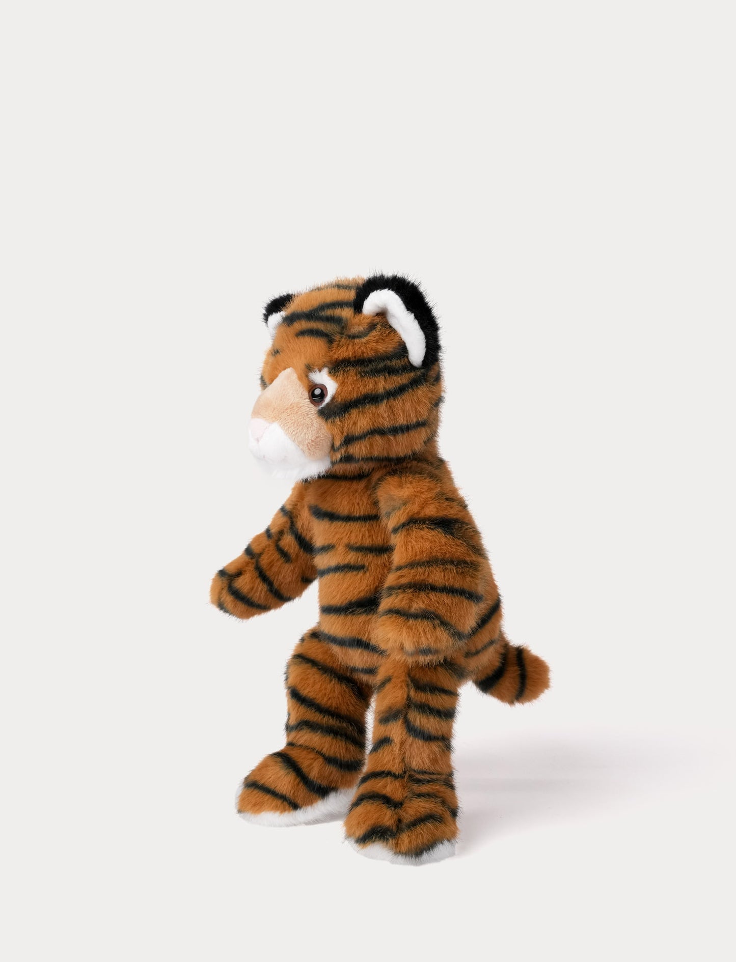 Teddy Wild, Tiger