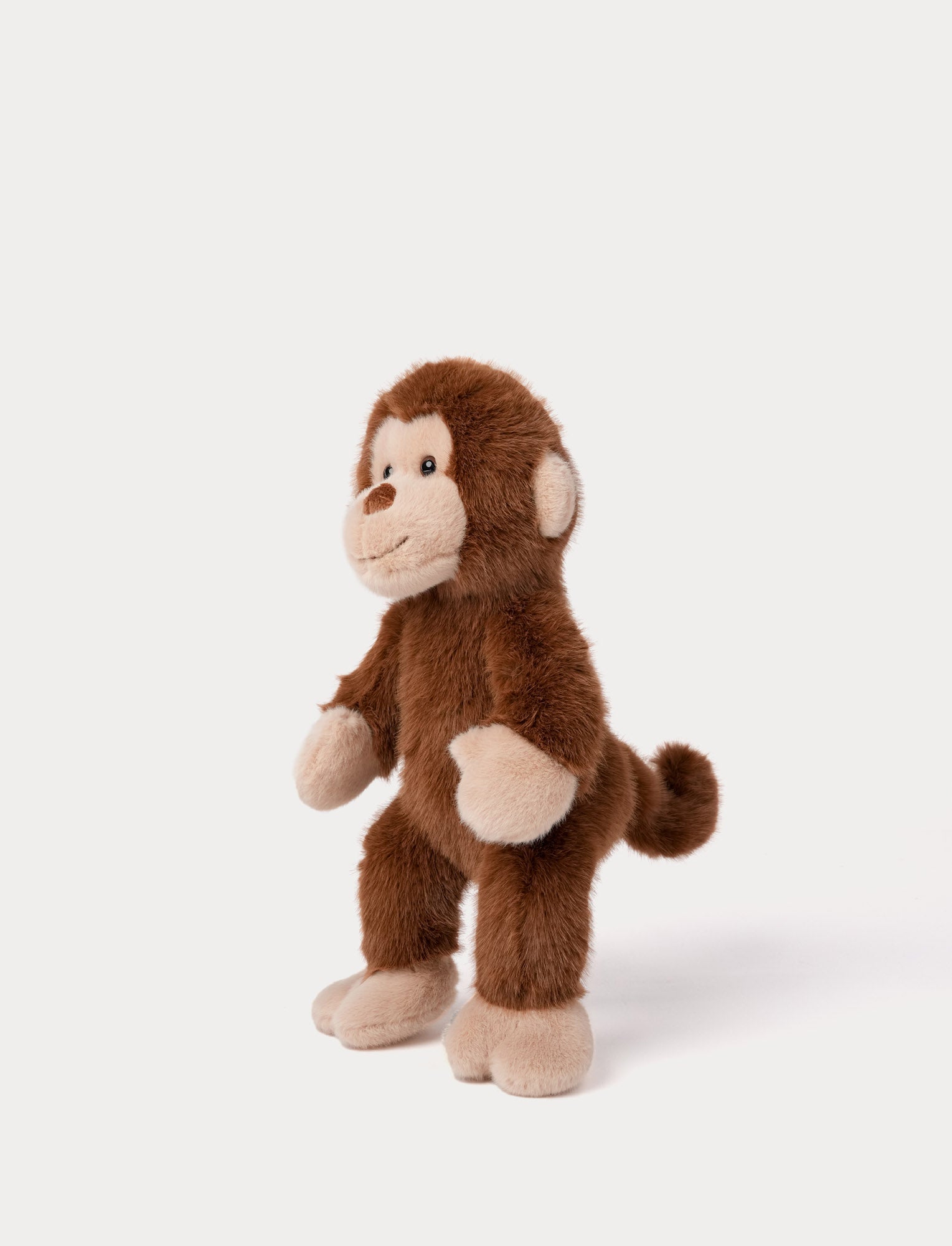  Image of Teddy Wild, Monkey