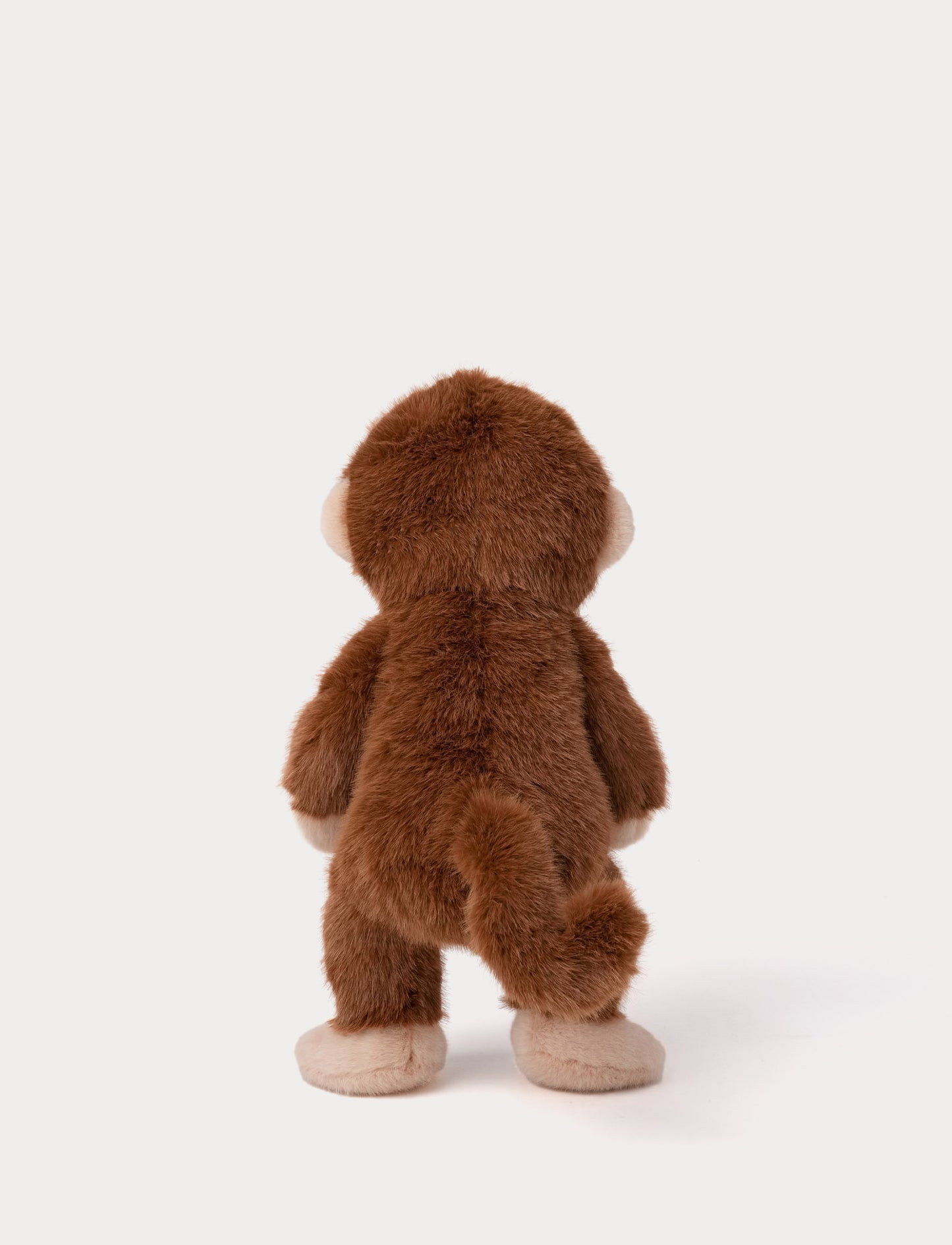 Teddy Wild, Monkey