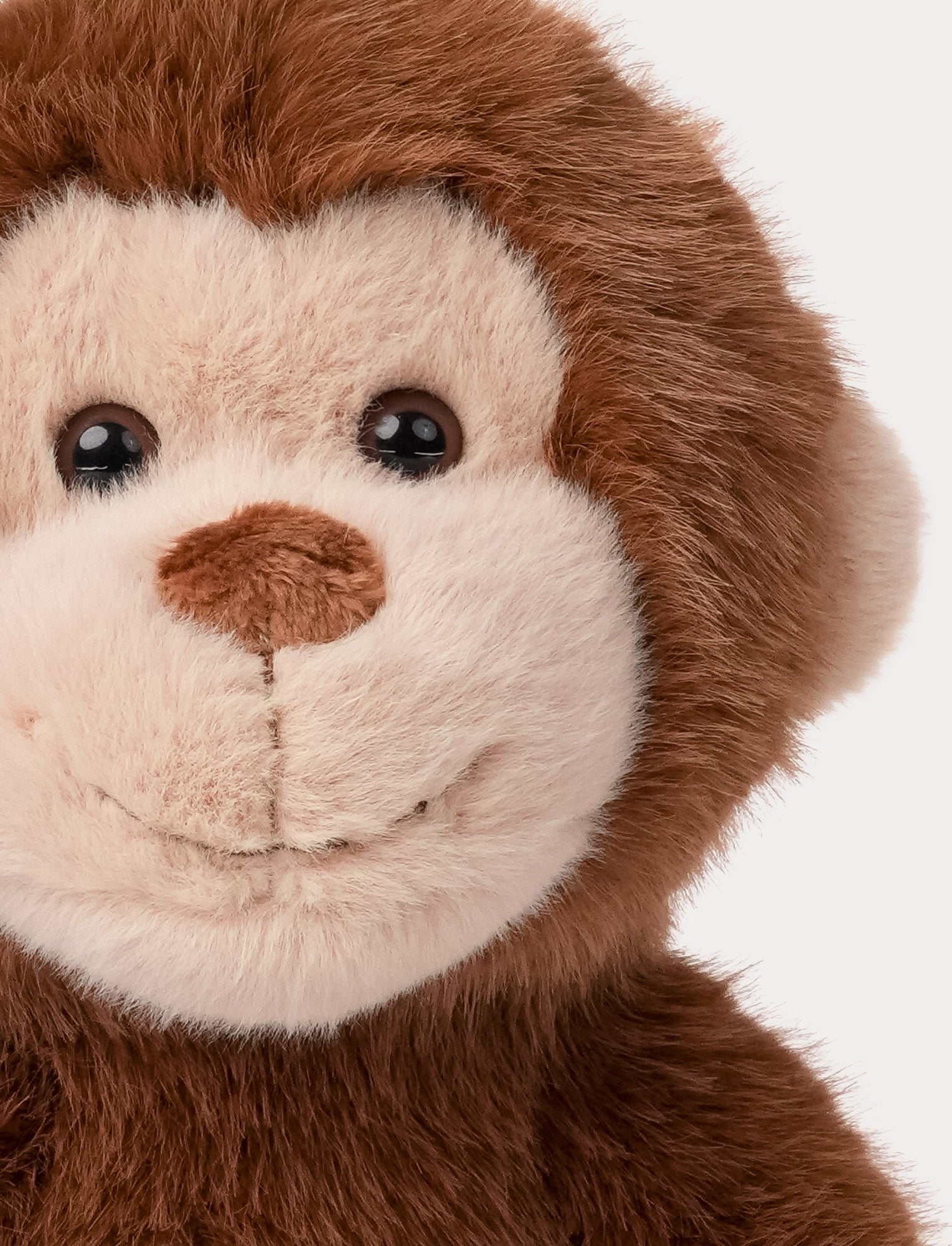  Image of Teddy Wild, Monkey