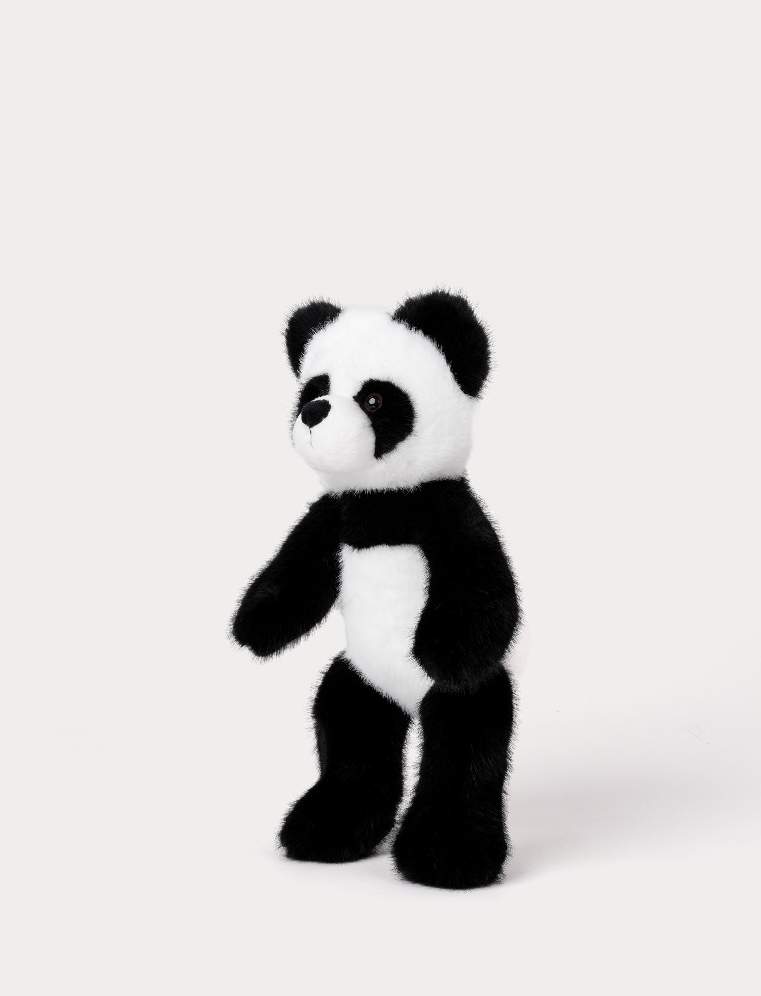  Image of Teddy Wild, Panda